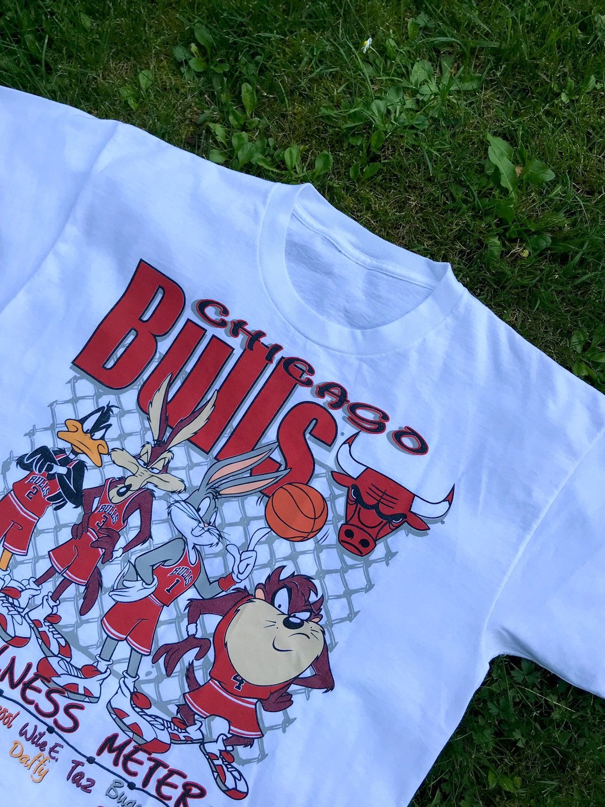 nba-vintage-chicago-bulls-nba-warner-bros-1994-official-tee-90s-grailed