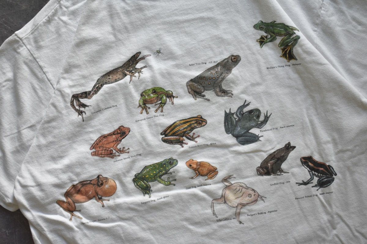 Vintage Vintage 90s ‘Frogs of the World’ T-Shirt (L) Size US L / EU 52-54 / 3 - 4 Thumbnail