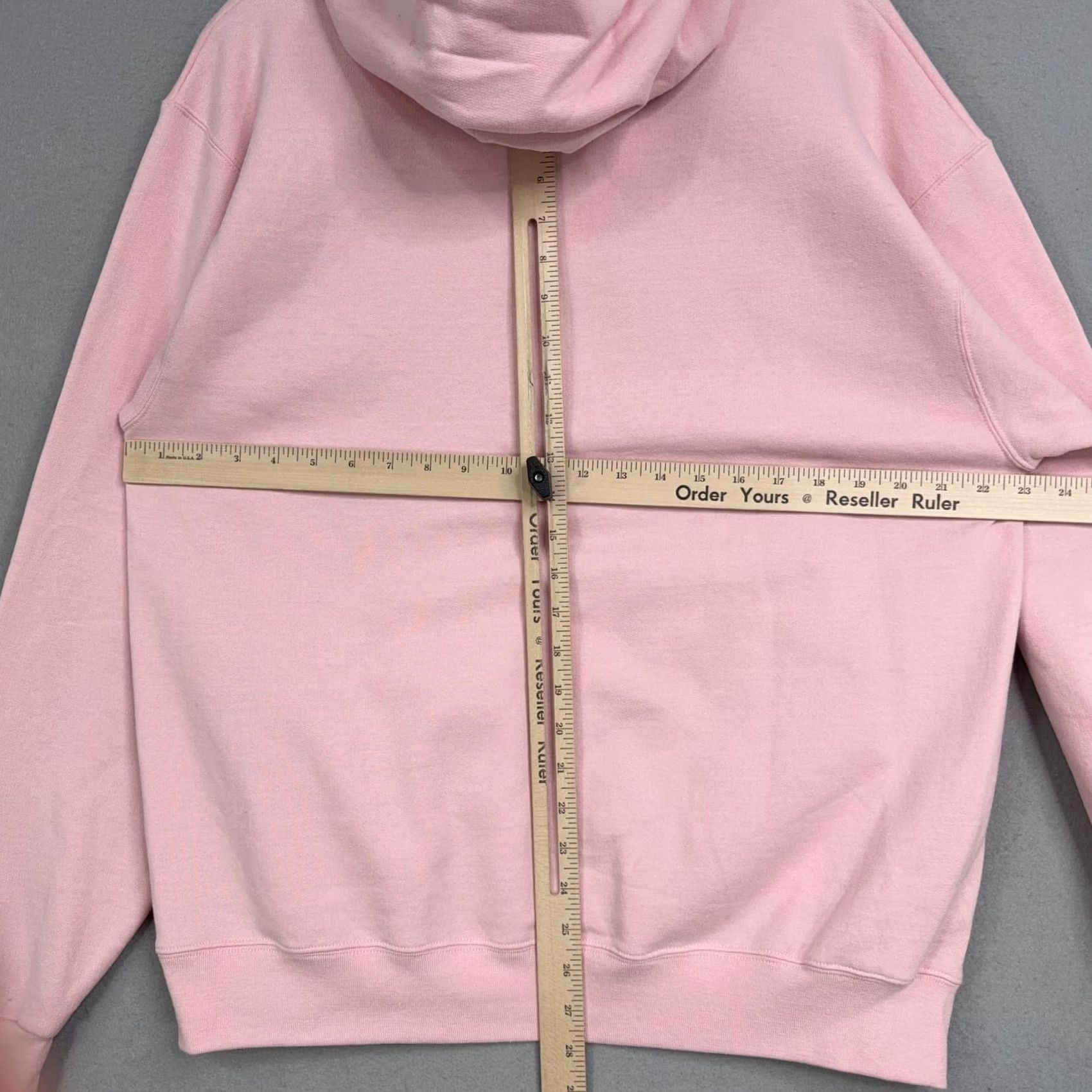 Champion Champion Hoodie Adult Large Pink Pullover Fleece Sweatshirt Glen Arbor Graphic Mens Size US L / EU 52-54 / 3 - 7 Thumbnail