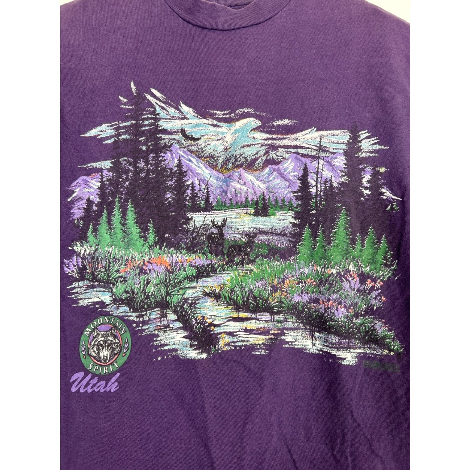 Hanes VINTAGE Hanes Mountain Spirit Utah Landscape 1993 Tee T-Shirt Women L Purple 1990s Cotton Nature Shirt Size L / US 10 / IT 46 - 2 Thumbnail