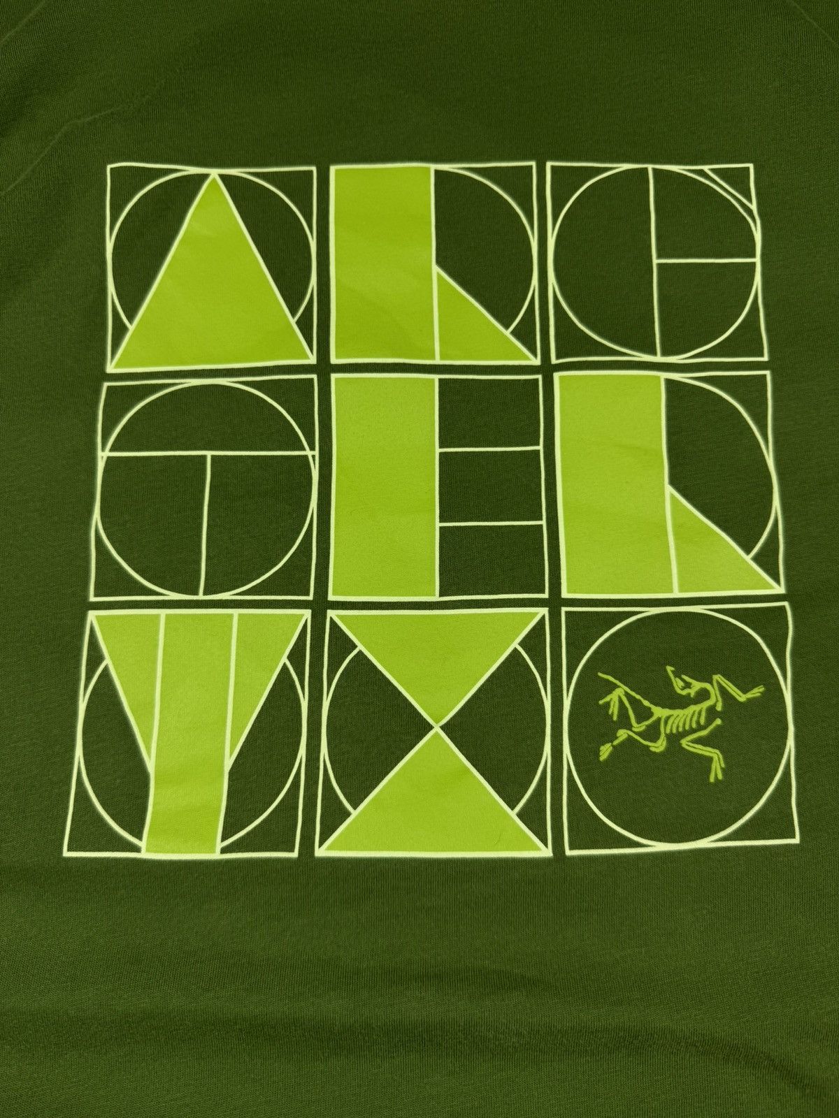 Arc'teryx Arcteryx graphic logo tee gorpcore outdoor eath tones hype Size US XL / EU 56 / 4 - 5 Thumbnail