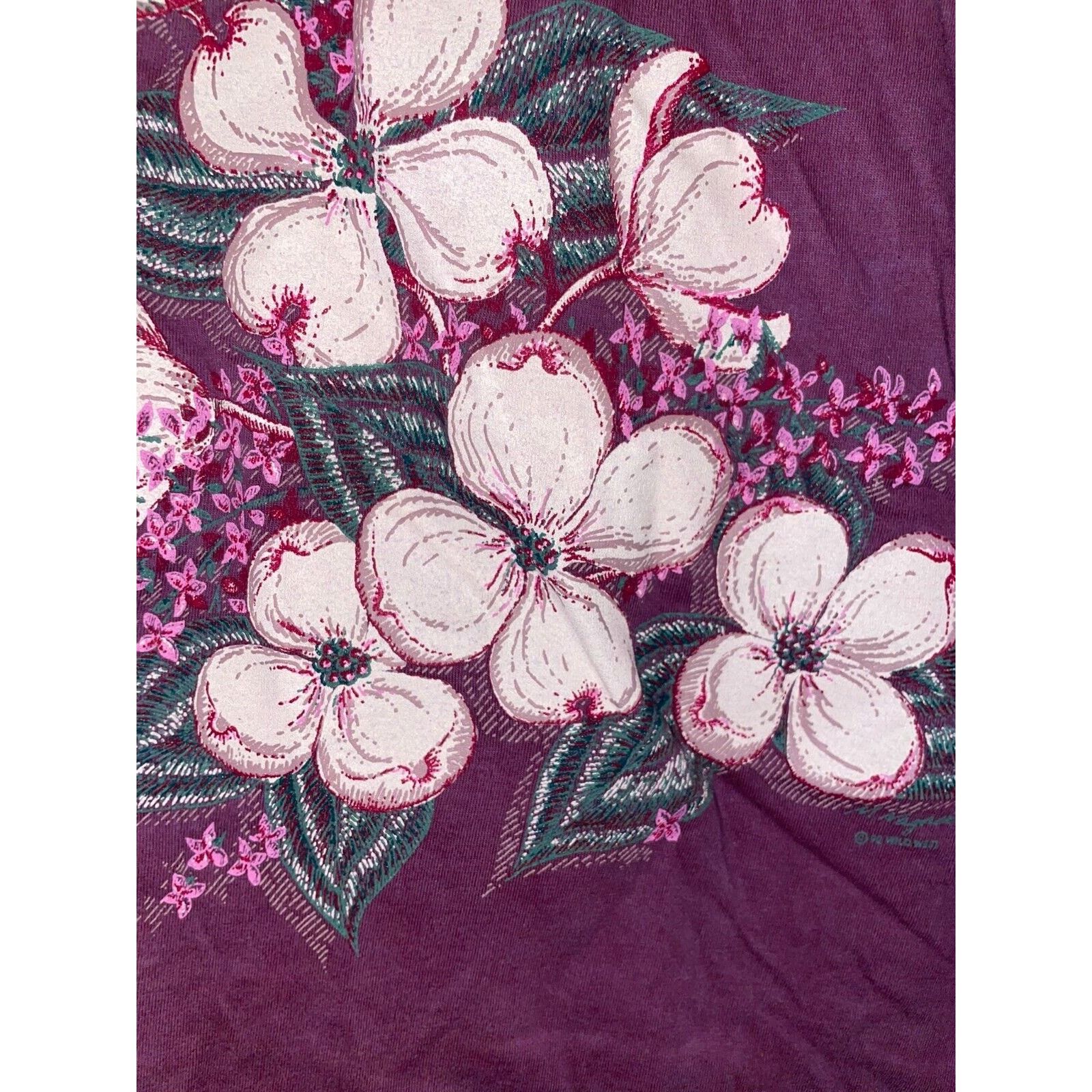 Jerzees Vintage Tennessee Shirt Wildflower Flower Tee VTG 90s Small Size US S / EU 44-46 / 1 - 5 Thumbnail