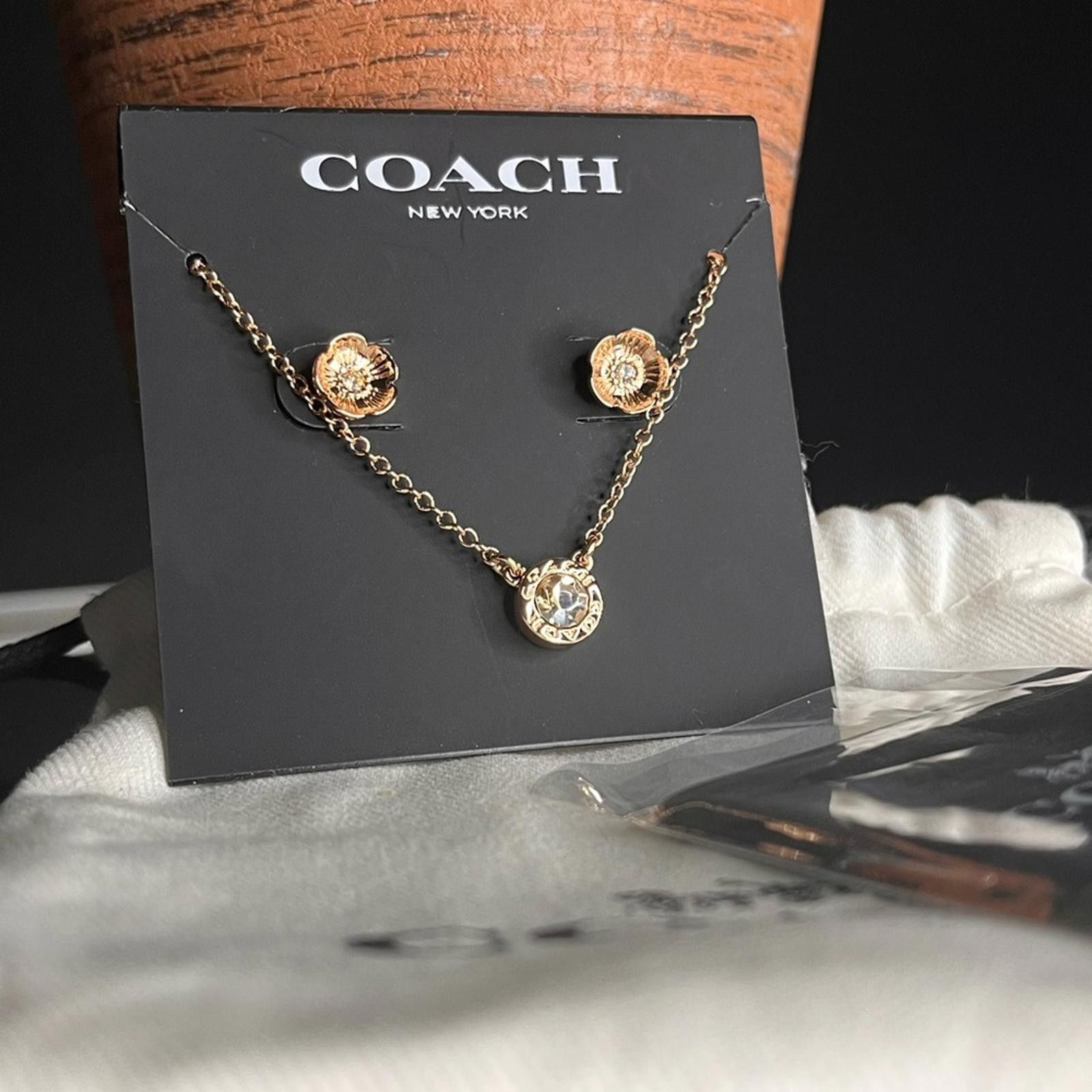 Coach Coach Rose Gold Tea Rose Earrings And Open Circle Necklace Size ONE SIZE - 1 Thumbnail