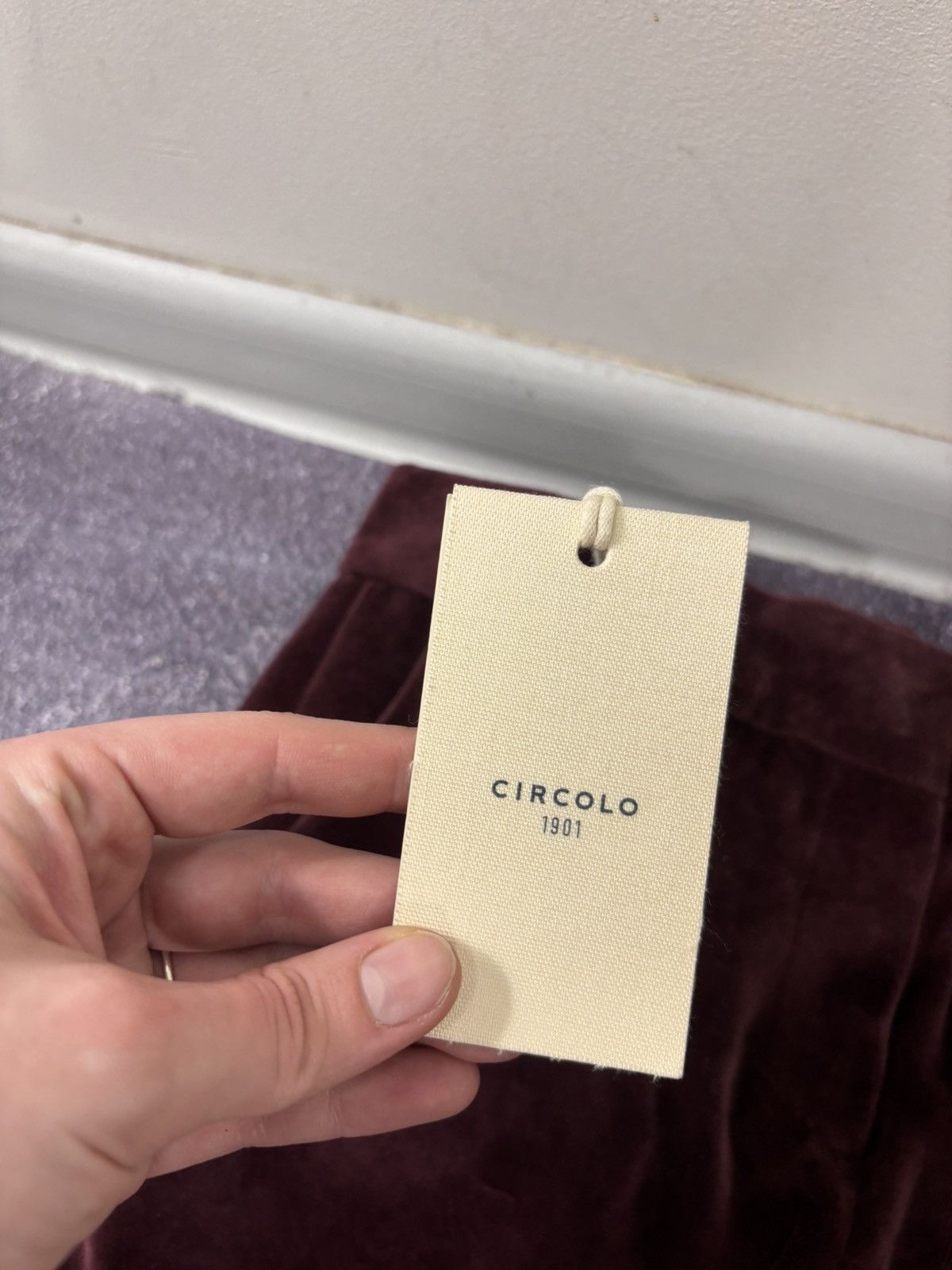 Circolo 1901 Circolo 1901 Women’s NWT Burgundy Velour Velvet Chino Pants Size 26" / US 2 / IT 38 - 6 Thumbnail