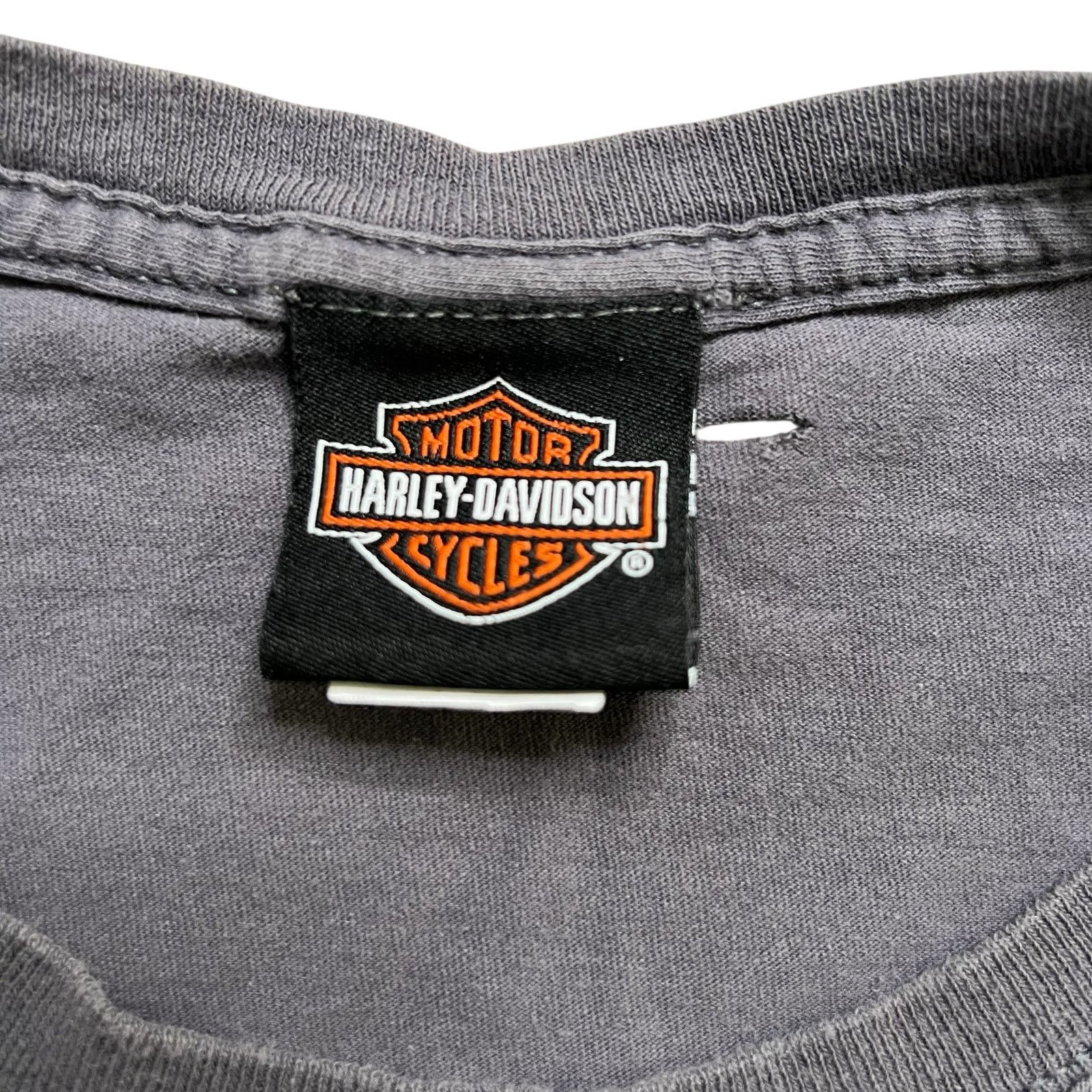 Harley Davidson Vintage Harley-Davidson Orlando Florida T-Shirt XL Parrot Size US XL / EU 56 / 4 - 5 Thumbnail