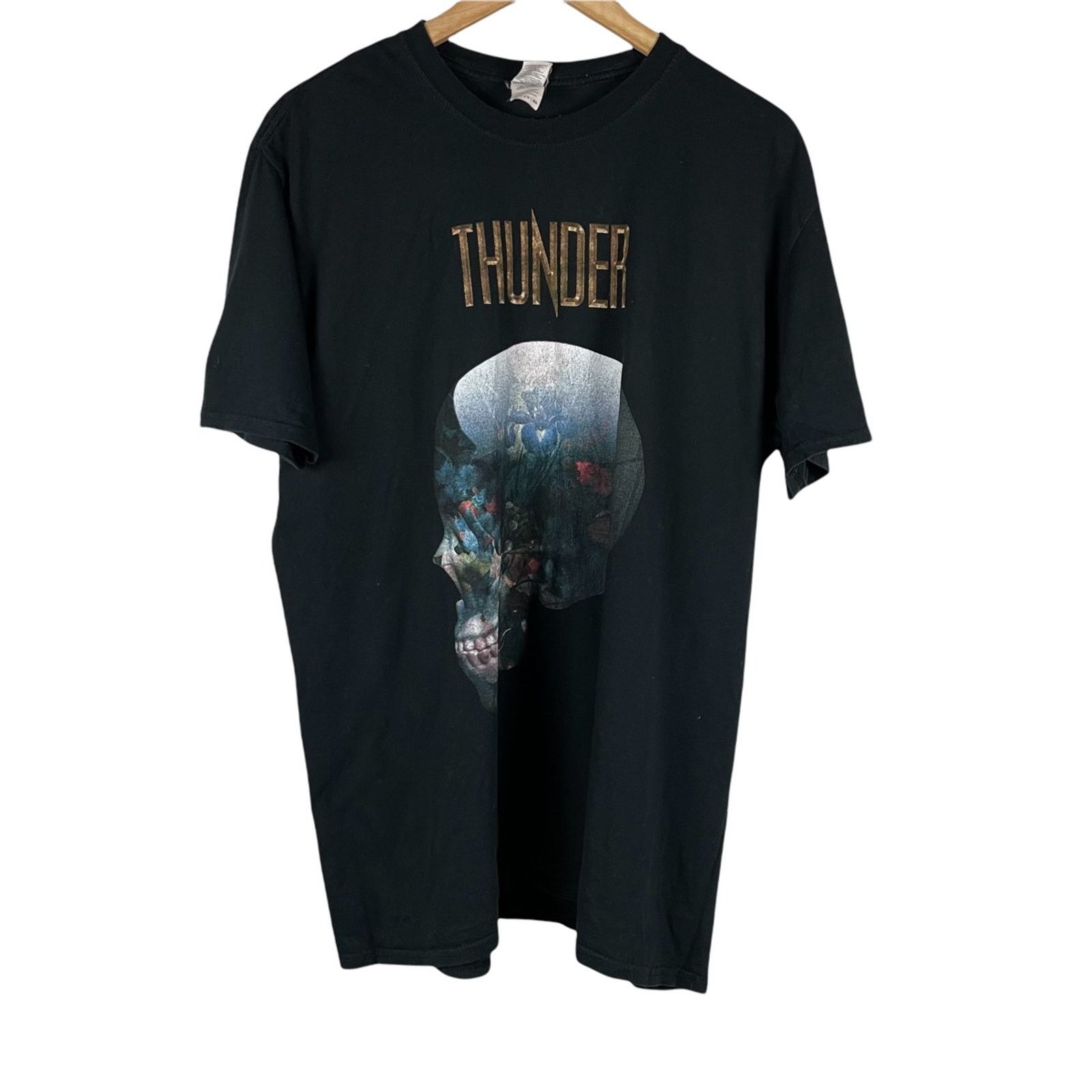 Band Tees × Gildan × Vintage Vintage Thunder 2017 tour tee Size US XXL / EU 58 / 5 - 1 Thumbnail
