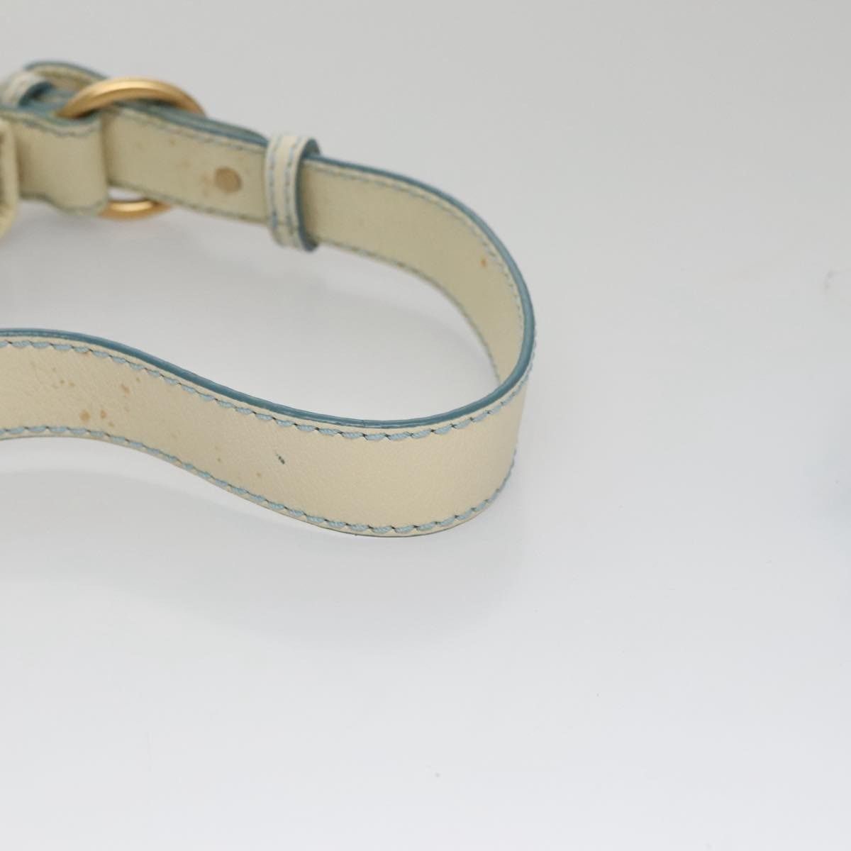 Celine CELINE C Macadam Canvas Shoulder Bag Light Blue Size ONE SIZE - 7 Thumbnail