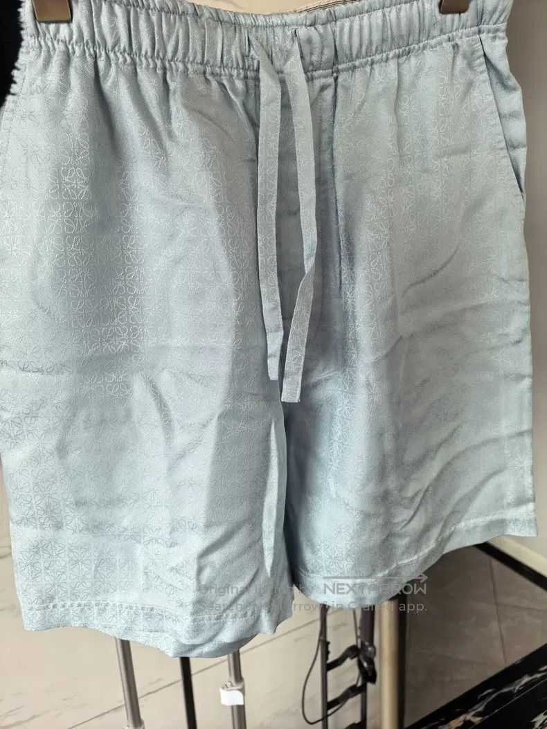 Loewe Loewe Mulberry silk full logo shorts Size US 30 / EU 46 - 6 Thumbnail