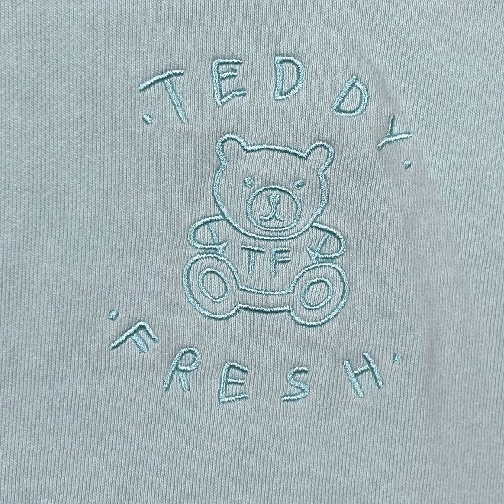 Teddy Fresh Teddy Fresh Hoodie L Embroidered Logo Pastel Color Block Hooded Pockets Pullover Men Size US L / EU 52-54 / 3 - 6 Thumbnail