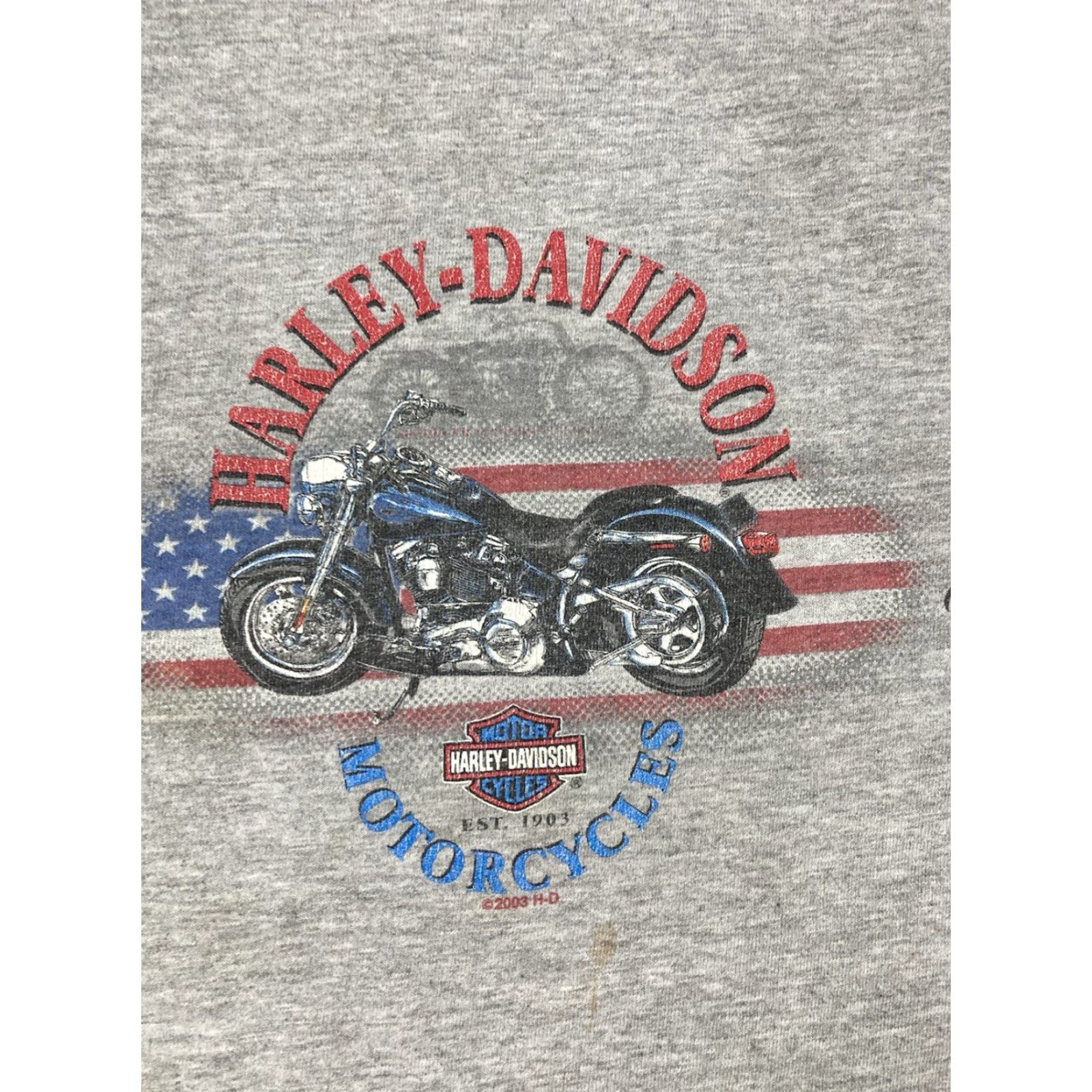 Harley Davidson VINTAGE Harley-Davidson Virginia Beach Graphic T-shirt Men XL Gray Short Sleeve Size US XL / EU 56 / 4 - 4 Thumbnail
