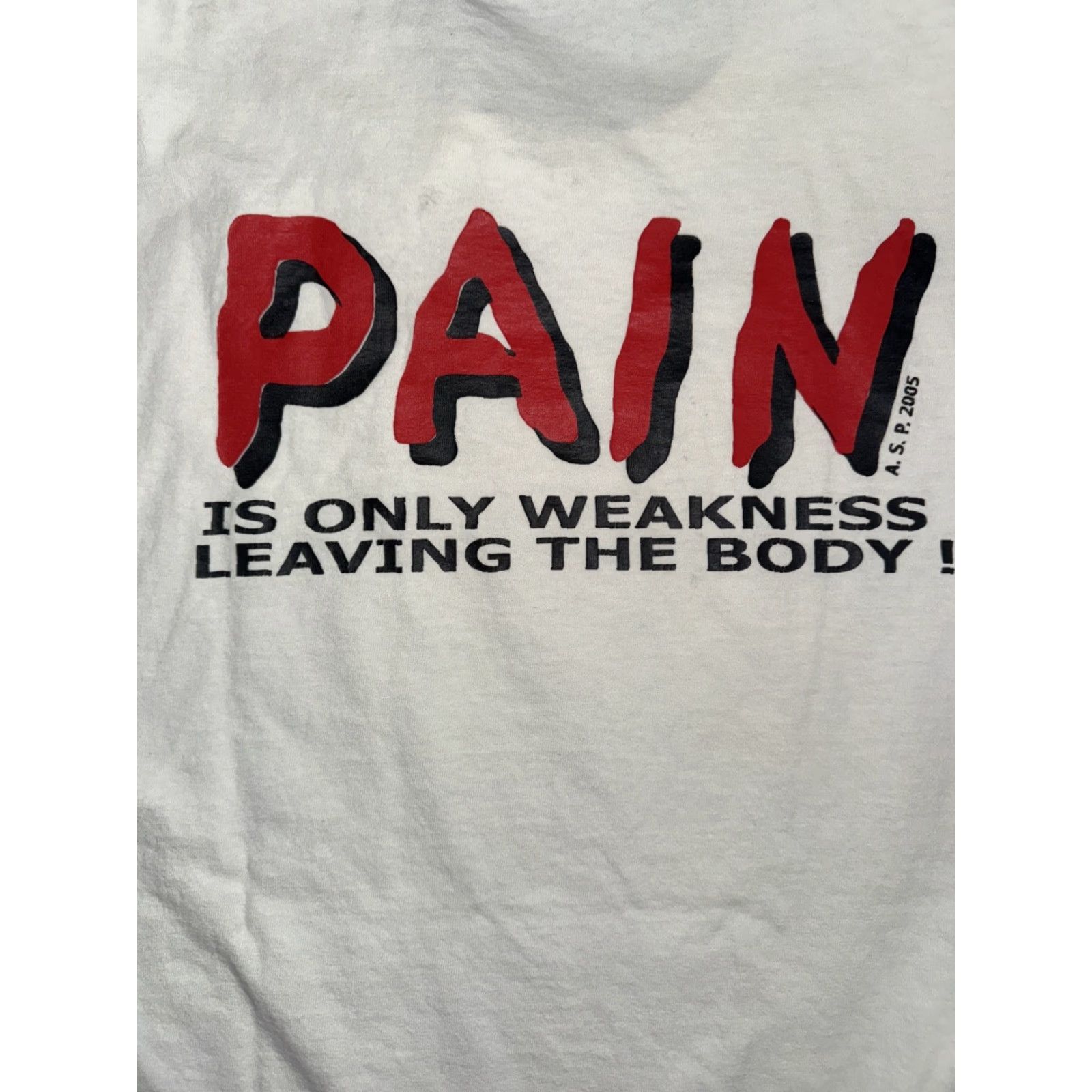 Gildan VINTAGE 2012 Riverside County Wrestling Championships T-Shirt White Large 21x28 Mens Cotton Graphic Print Short Sleeve Crew Neck 100% White Size US L / EU 52-54 / 3 - 6 Thumbnail