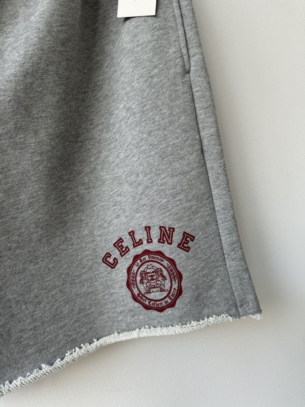 Celine CELINE HOMME MR. PORTER EXCLUSIVE SHORTS Size US 34 / EU 50 - 4 Thumbnail