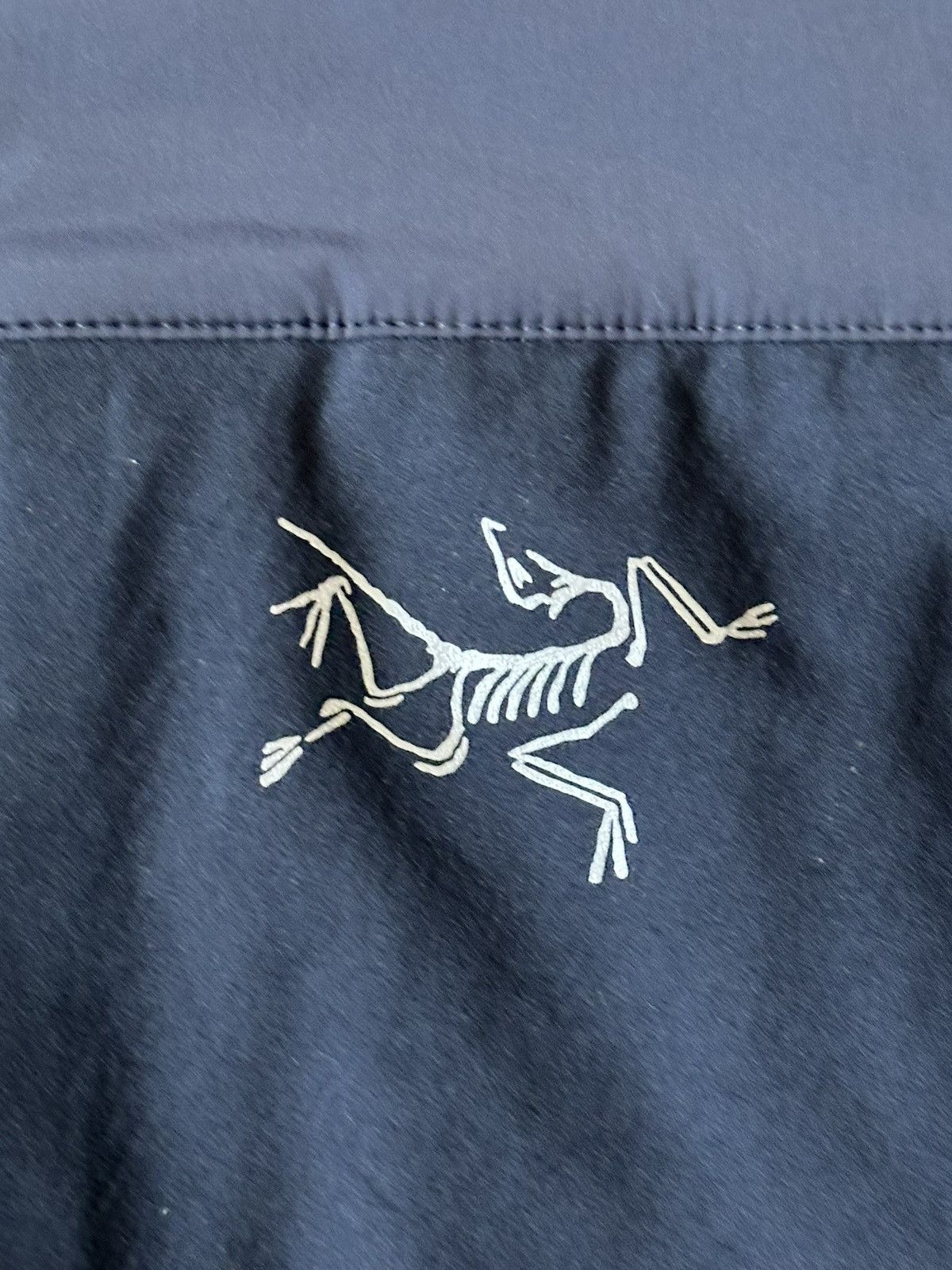 Arc'teryx Arc'teryx Proton LT Hoody Size US M / EU 48-50 / 2 - 4 Thumbnail
