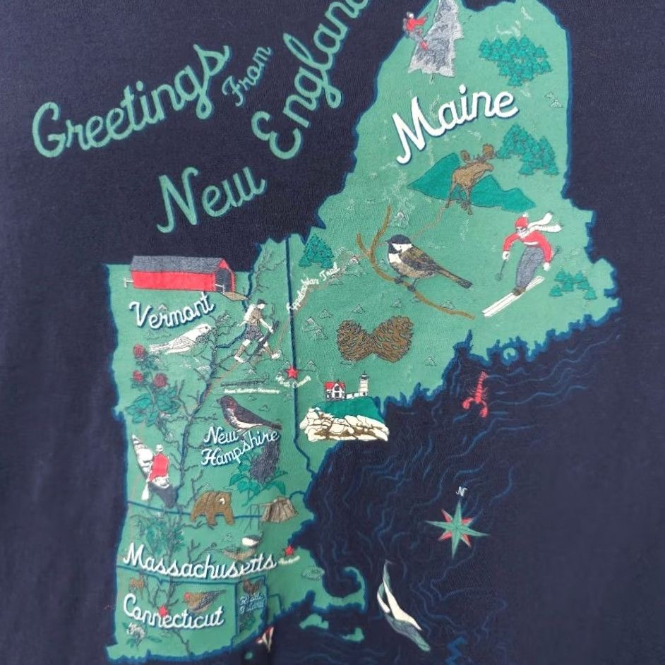 Eastern Mountain Sports New England T Shirt Mens Large Blue Souvenir Vermont Maine Massachusetts Massachusetts VT NH CT RI Travel Tee Sprite Size US L / EU 52-54 / 3 - 3 Thumbnail