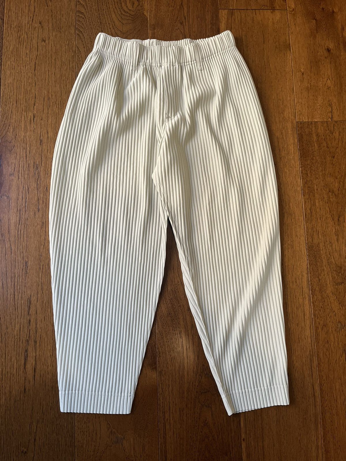 Homme Plisse Issey Miyake Issey Miyake Homme Plisse Size 2 | Grailed