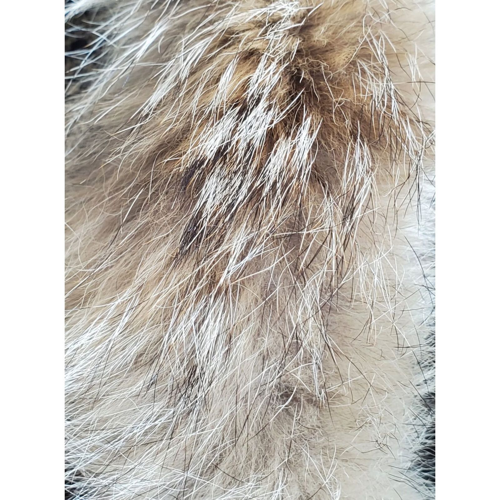 Vintage Cabela's Parka Jacket Women L Fur Trim Hood Insulated Deer Nature Theme Long Sleeve Zip Pockets Regular Size L / US 10 / IT 46 - 6 Thumbnail