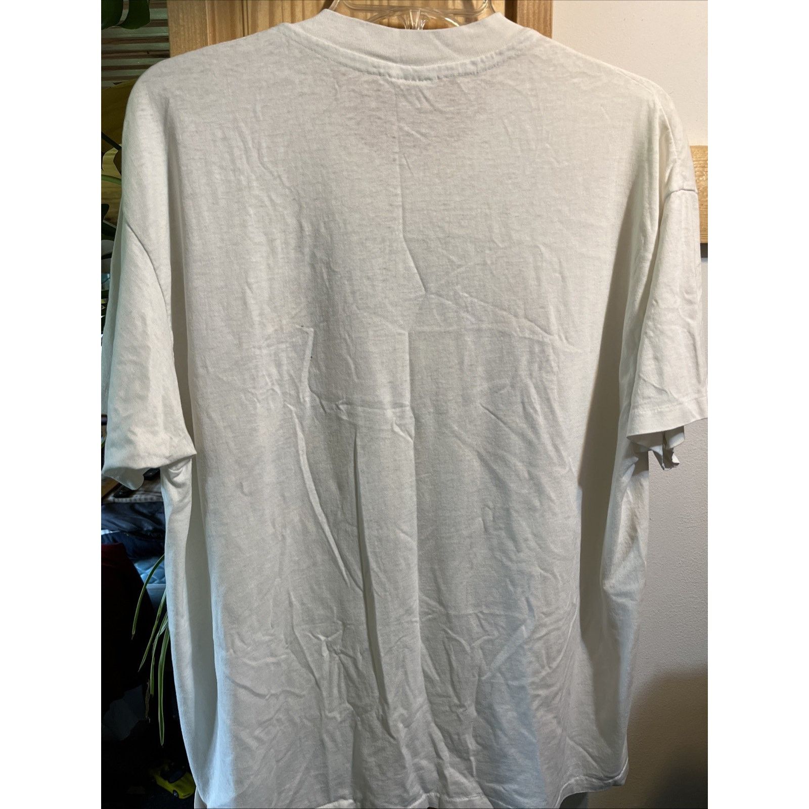 Hanes VTG Earth Friends Protect Deserts Tee XL San Diego Cotton Size US XL / EU 56 / 4 - 7 Thumbnail