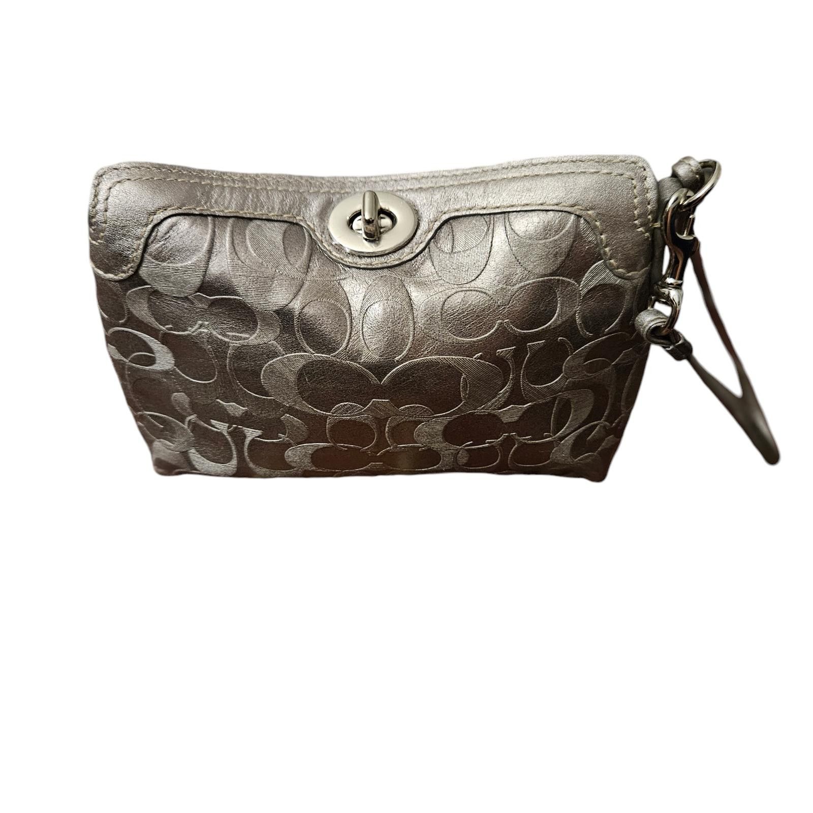 Coach Stylish Coach Leather Pouch in Metallic Gray Size ONE SIZE - 1 Thumbnail