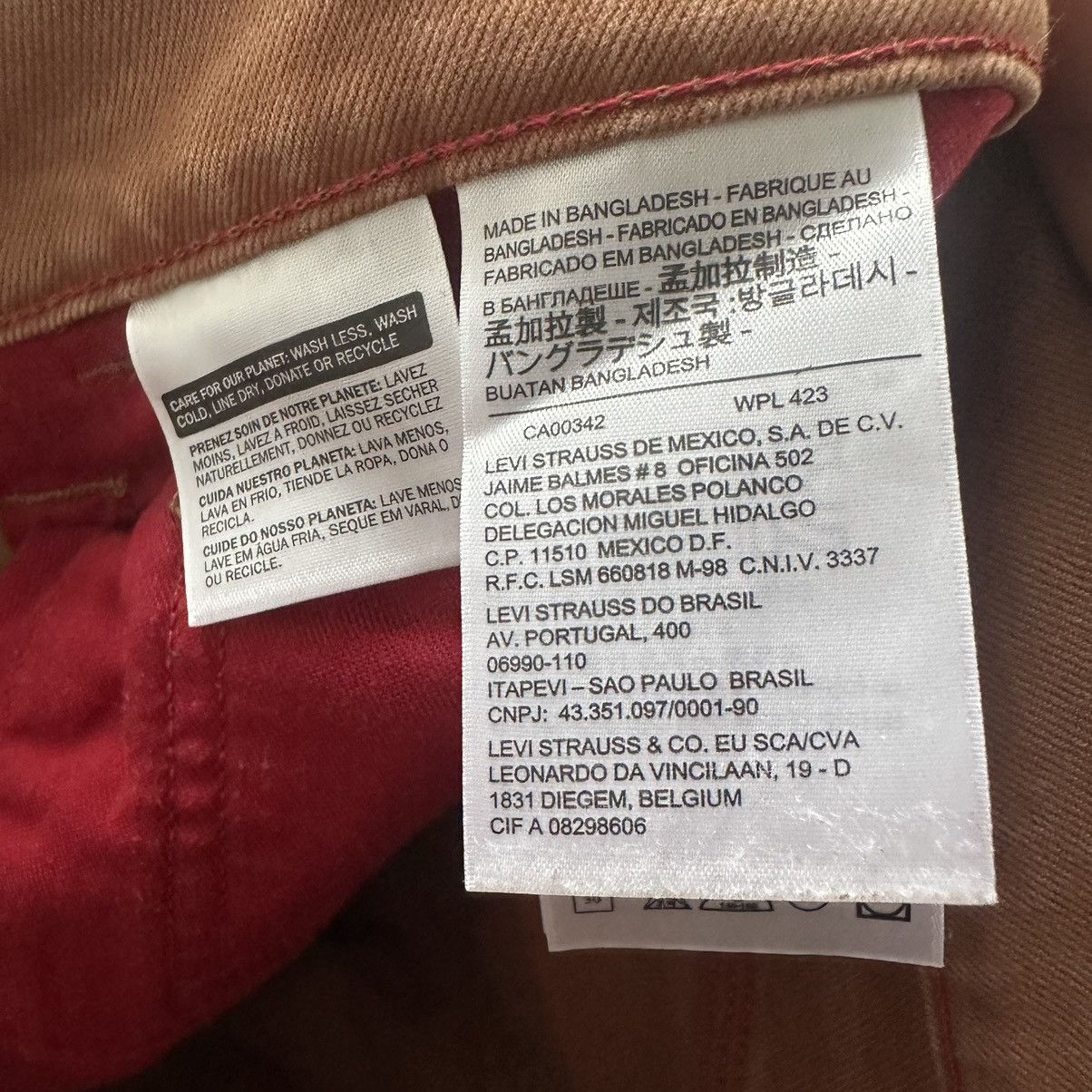 Levi's BAGGY LEVIS CARPENTER skateboarding canvas pants Size US 36 / EU 52 - 11 Thumbnail