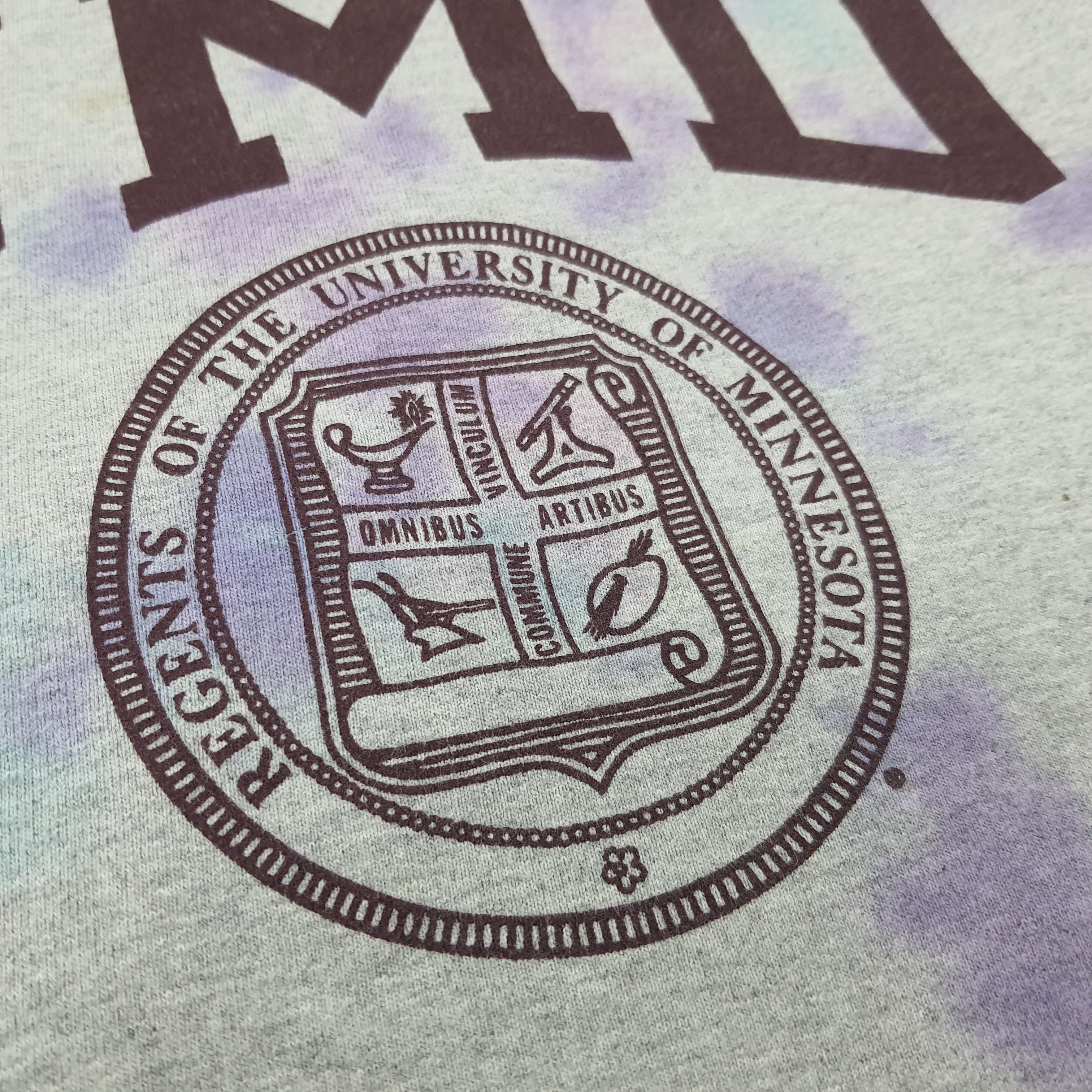 Champion Vintage Champion University of Minnesota Sweatshirt C268N7 Size US S / EU 44-46 / 1 - 3 Thumbnail