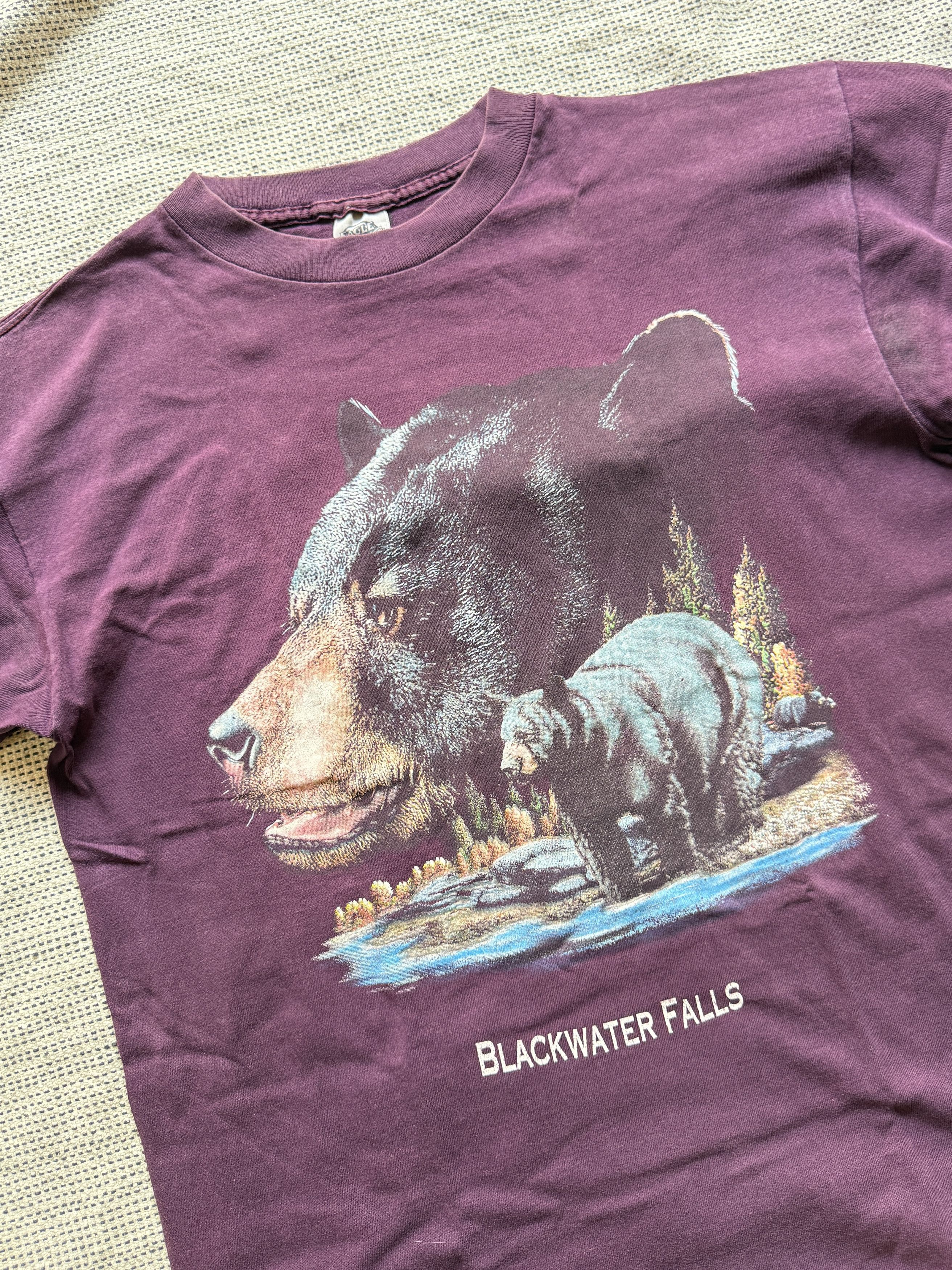 Vintage Vintage eagle products Blackwater falls t shirt Size US L / EU 52-54 / 3 - 2 Thumbnail