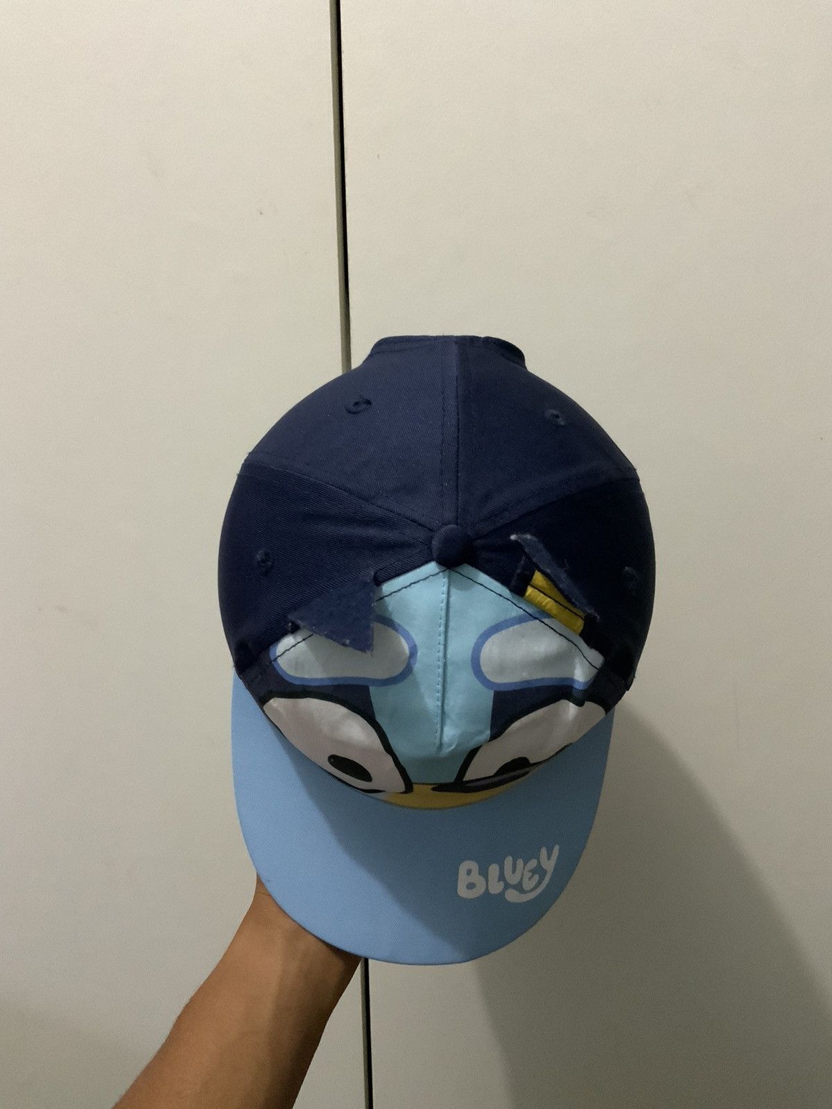 Bluey Hat
