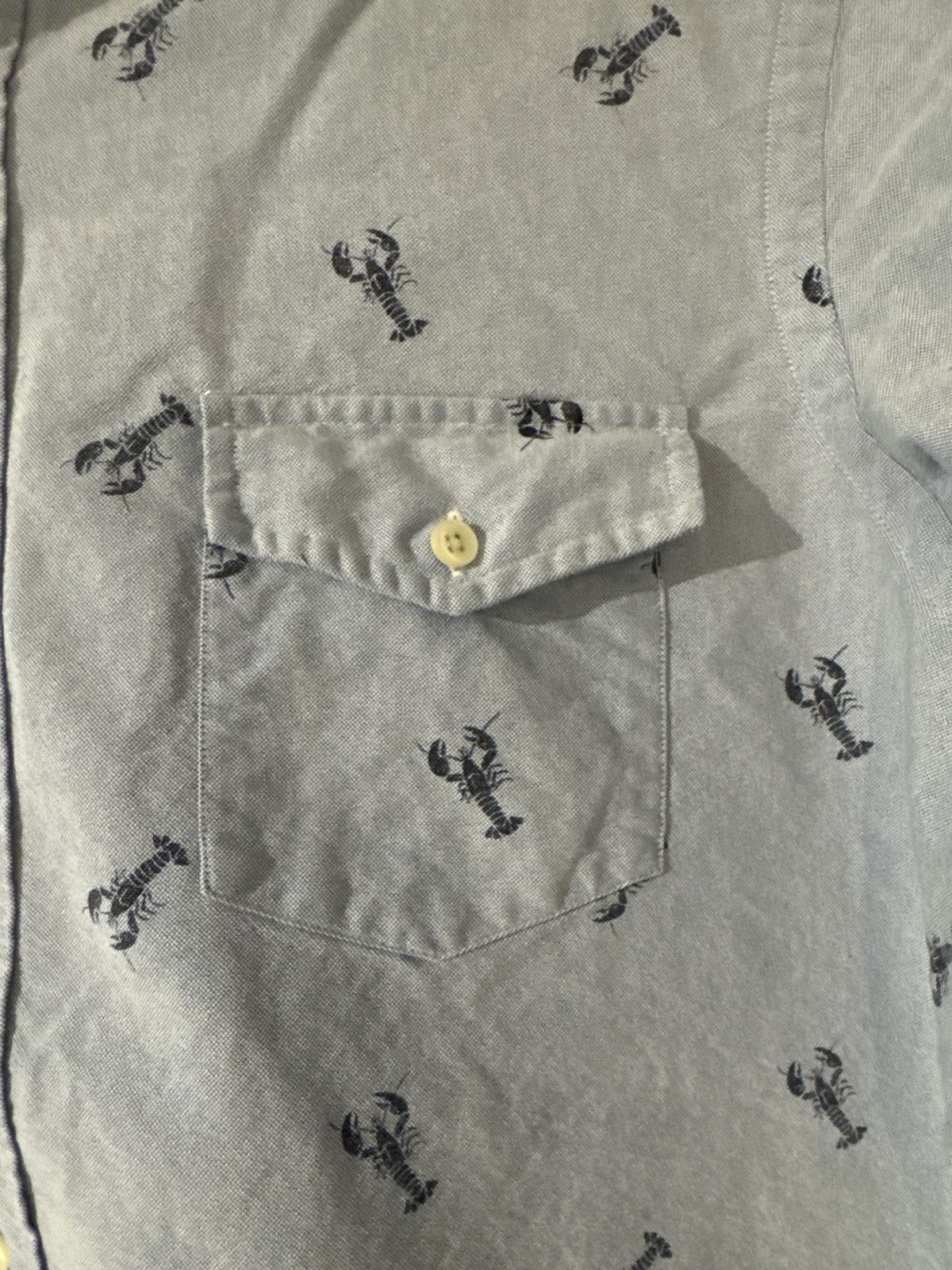 Polo Ralph Lauren Polo Ralph Lauren Lobster Pocket Shirt Size US L / EU 52-54 / 3 - 1 Thumbnail
