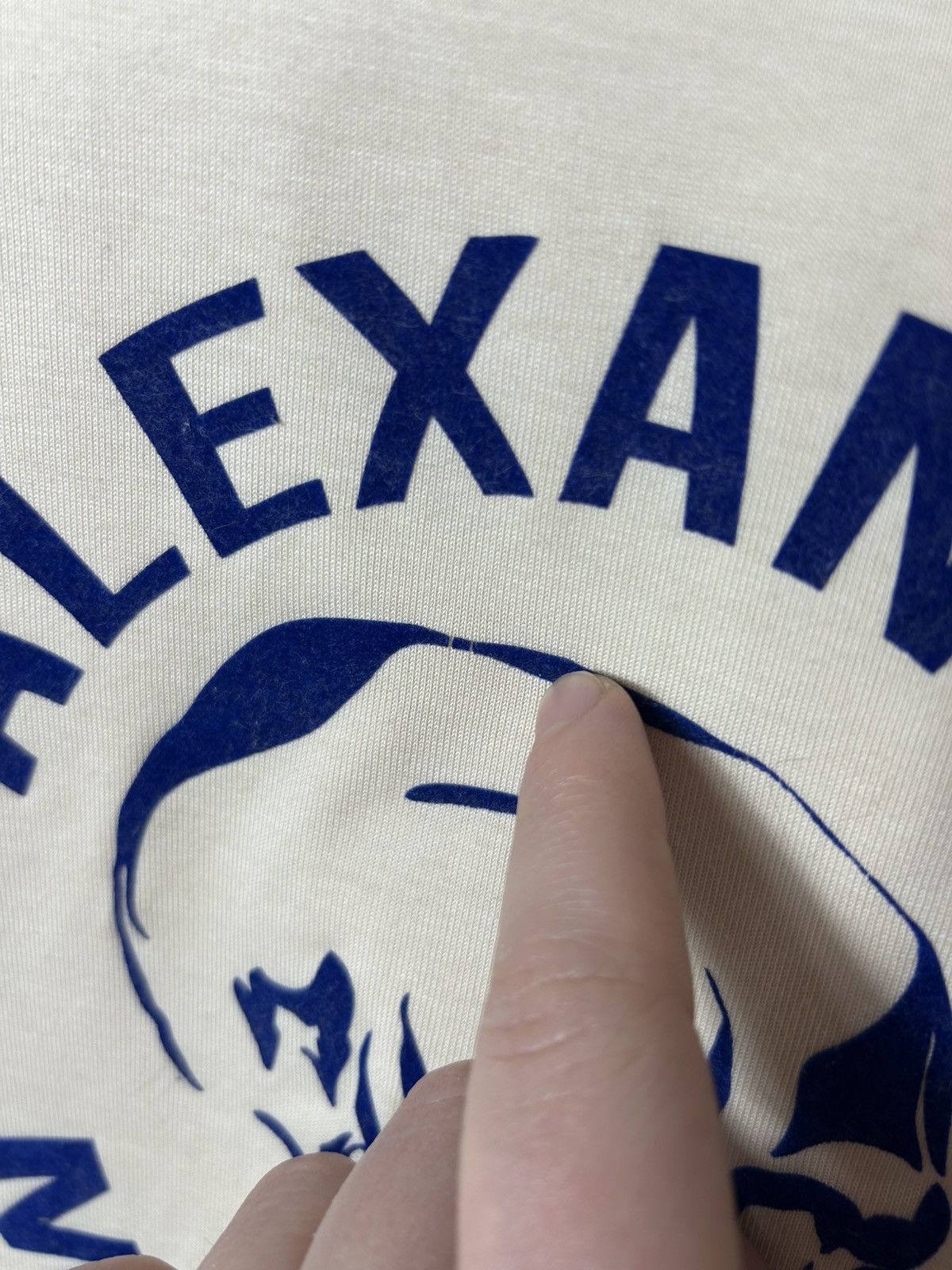 Alexander McQueen ALEXANDER MCQUEEN FLOCKED SKULL LOGO T-SHIRT Size US S / EU 44-46 / 1 - 4 Thumbnail