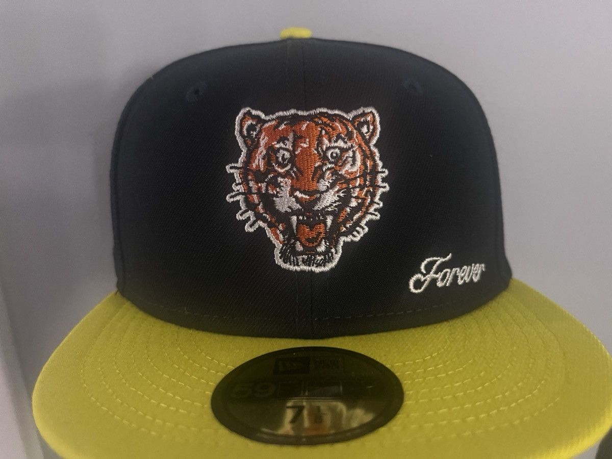 Hat Club Hat Club Jae Tips Detroit Tigers Hat Size ONE SIZE - 1 Thumbnail