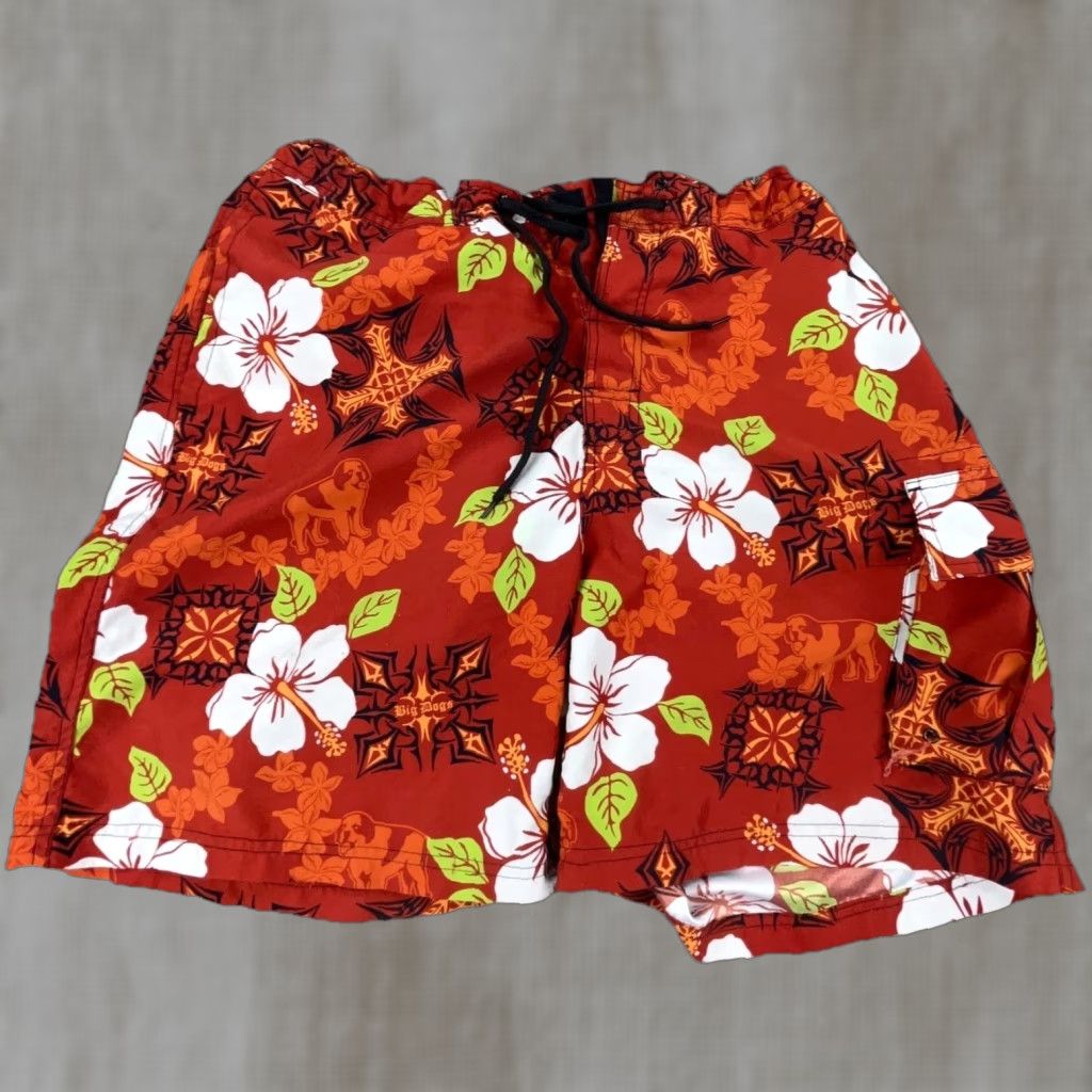 Big Dogs Big Dogs Swim Trunks Men M Red Floral Beach Surfing Trunks Hipster Retro Size US 31 - 1 Thumbnail