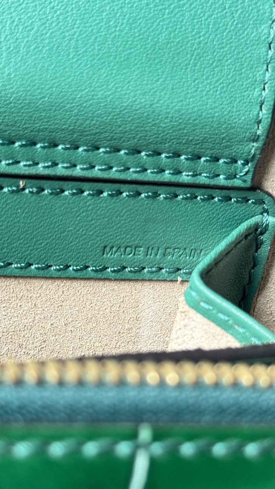 Chloe Chloe Green Croc Embossed Leather Mini C Vanity Shoulder Bag Size ONE SIZE - 11 Thumbnail