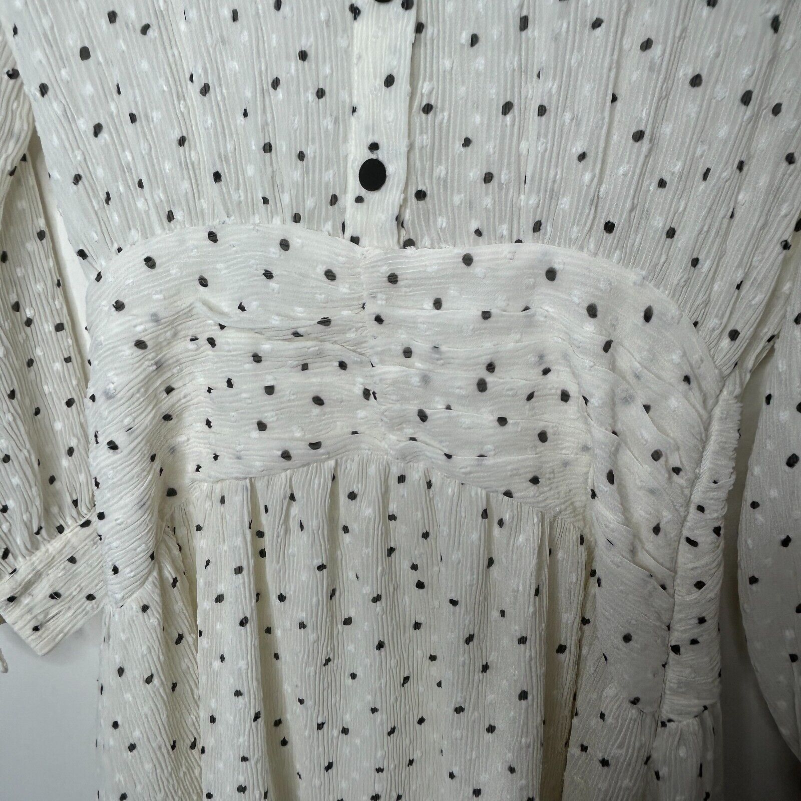 Zara Zara Dotted Swiss Long Sleeve 1/2 Button Ruffle Hem Dress Size XS / US 0-2 / IT 36-38 - 6 Thumbnail