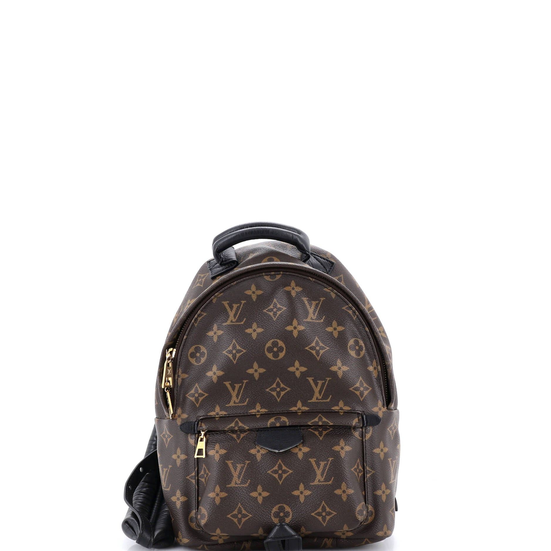 Louis Vuitton Palm Springs Backpack Size ONE SIZE - 1 Thumbnail