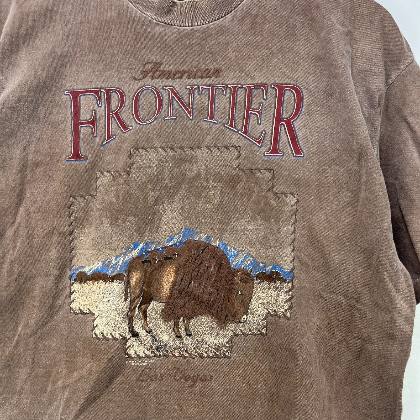 Vintage Vintage 90s Buffalo Animal Nature Las Vegas Sun Faded XL Size US XL / EU 56 / 4 - 3 Thumbnail