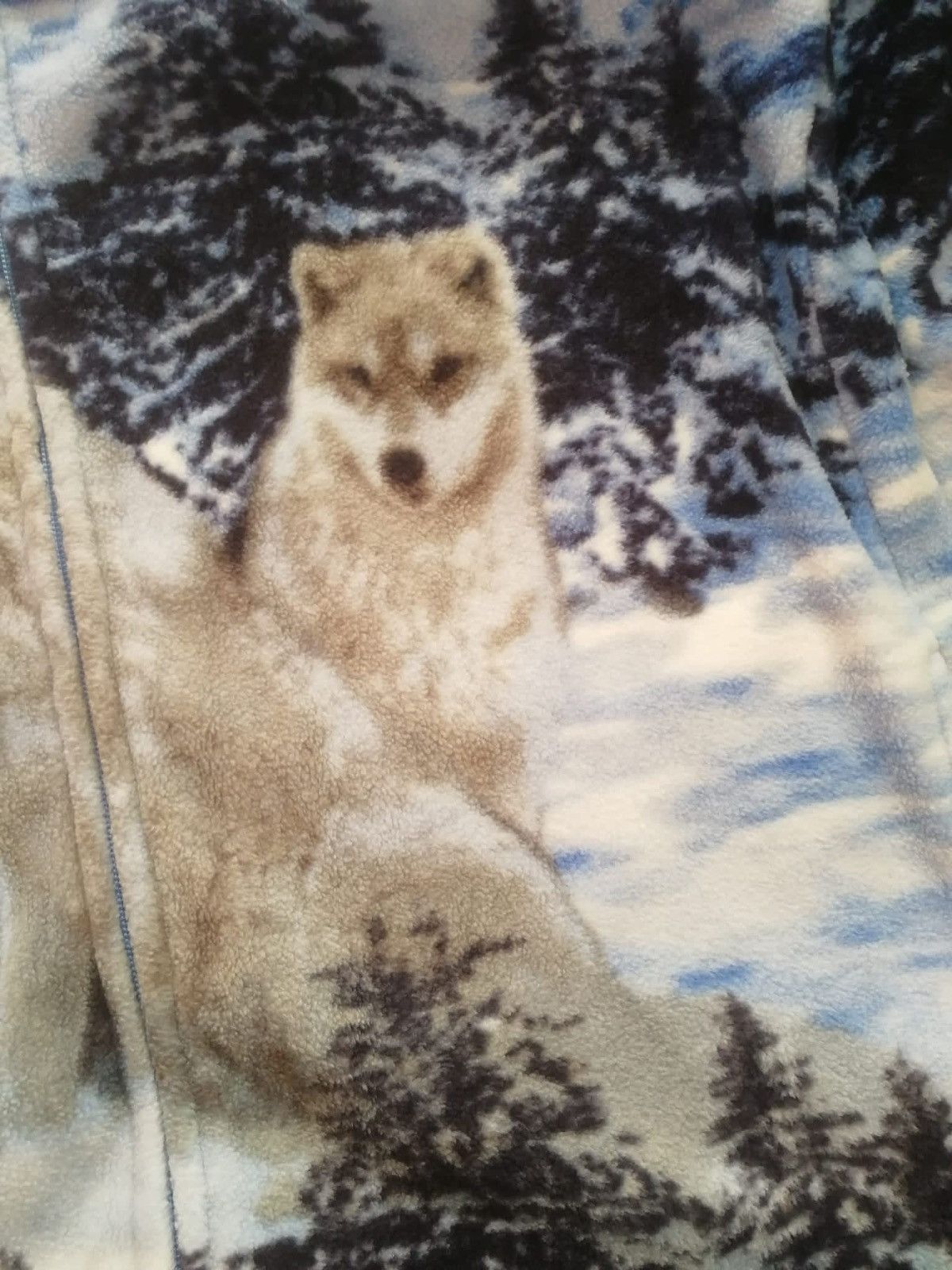 Other Vintage polar animal winter y2k rare fleece zip Size US M / EU 48-50 / 2 - 6 Thumbnail