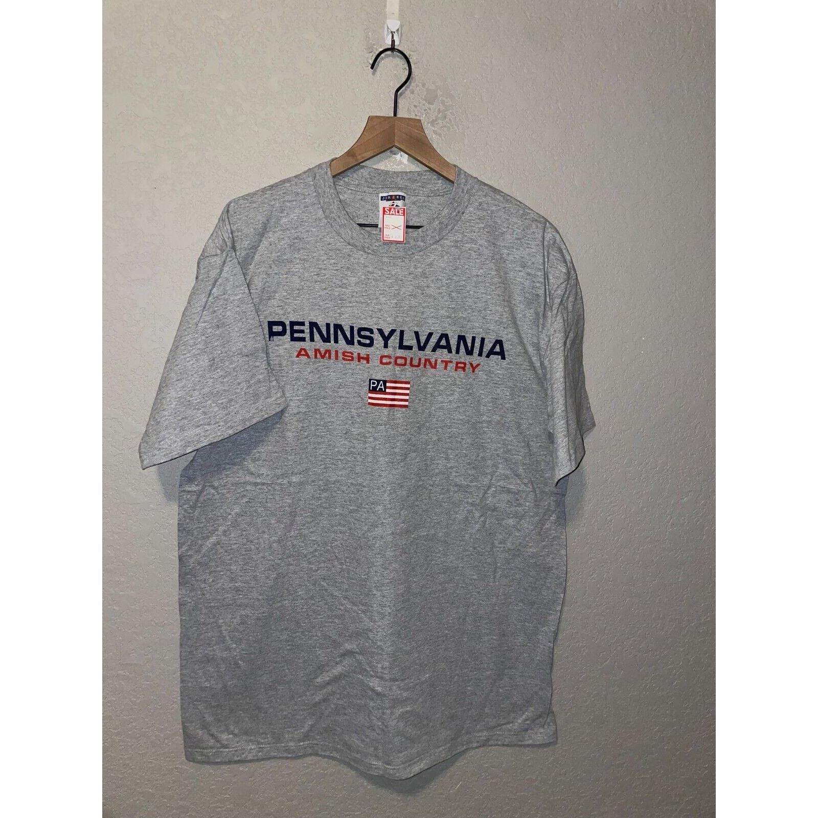 Jerzees Vintage Amish Country Shirt Pennsylvania Gray Tee 90s L Size US L / EU 52-54 / 3 - 1 Thumbnail