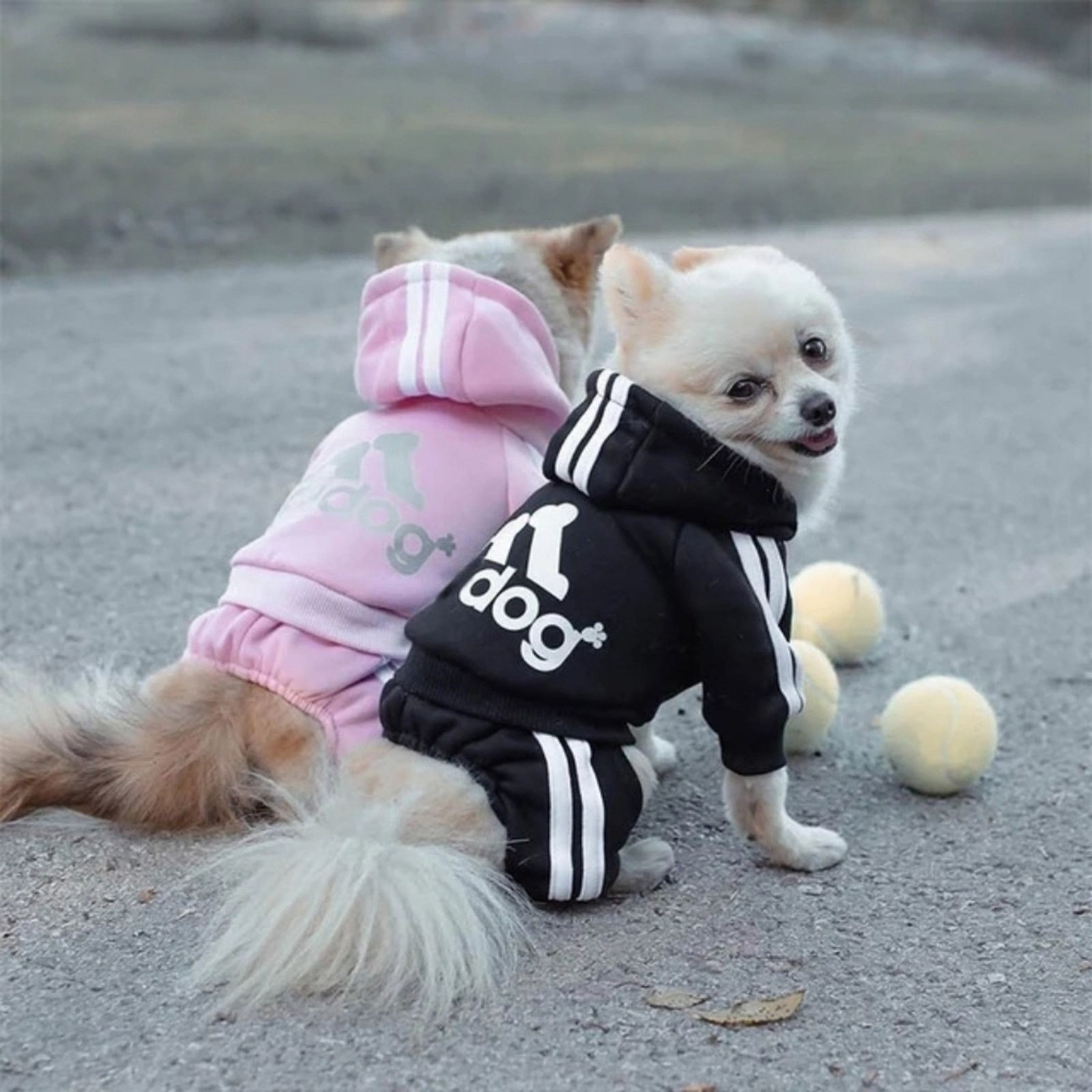 Other Pink | ADIDOG | Dog 1 Hoodie Size ONE SIZE - 3 Thumbnail