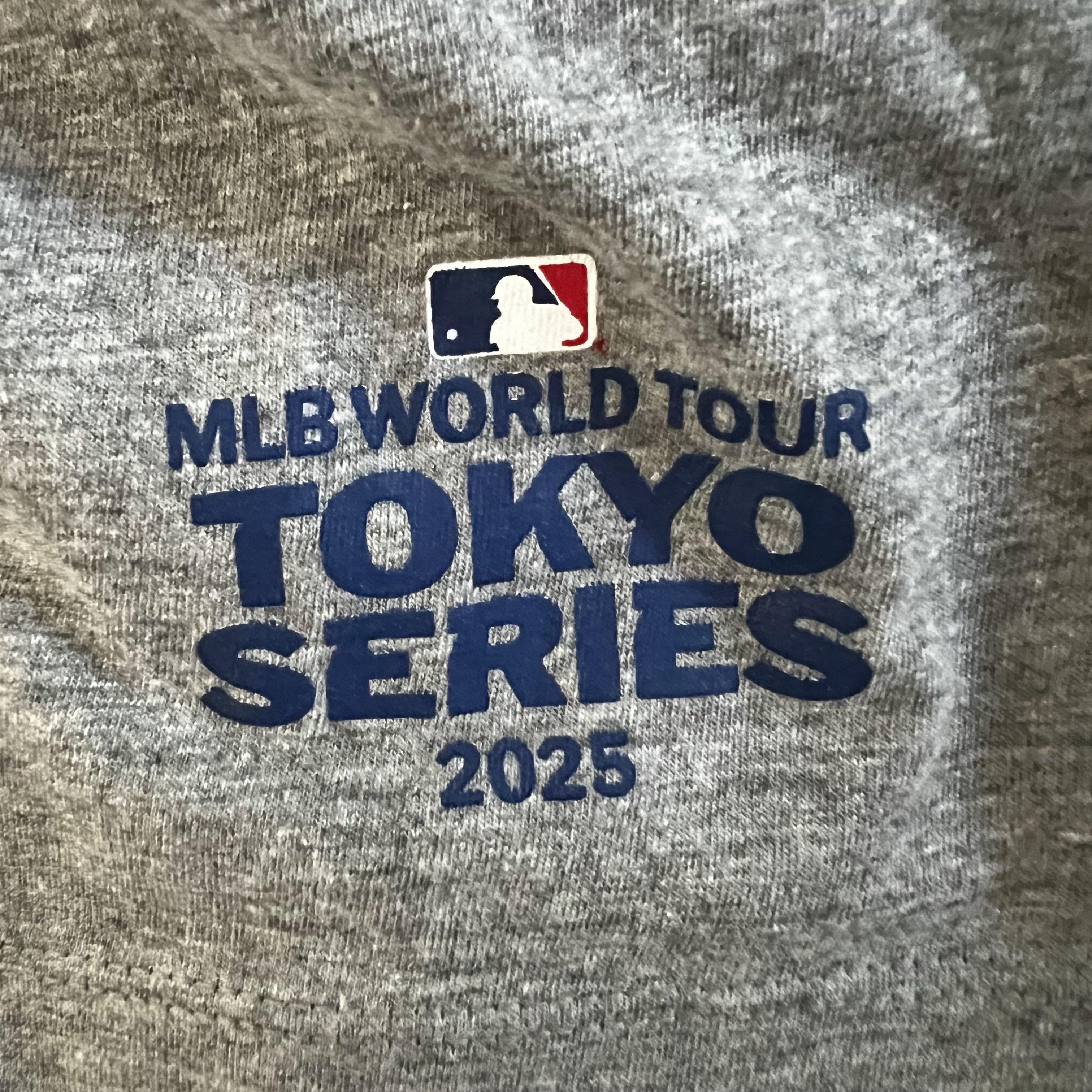 Nike Nike Dodgers Murakami Gray Tee L NWT 2025 Complex Colab Rare Size US L / EU 52-54 / 3 - 4 Thumbnail