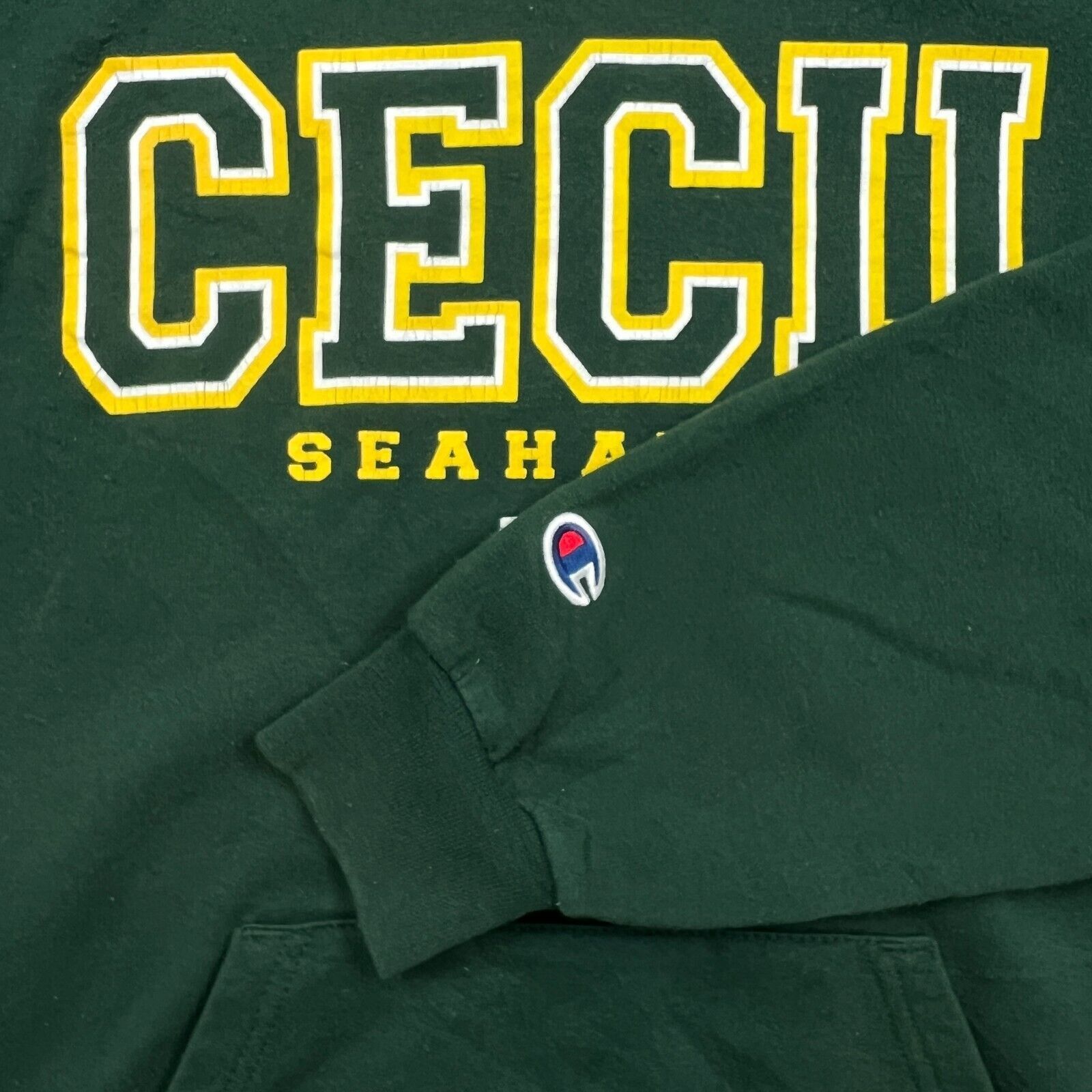 Champion × NCAA × Vintage Vintage Champion Cecil Seahawks Hoodie Small Eco Fleece 90s Size US S / EU 44-46 / 1 - 5 Thumbnail