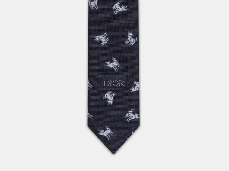 Dior o1w1db11025 58C104 Size : OS / NEL Tie in Navy Blue/White Size ONE SIZE - 2 Thumbnail