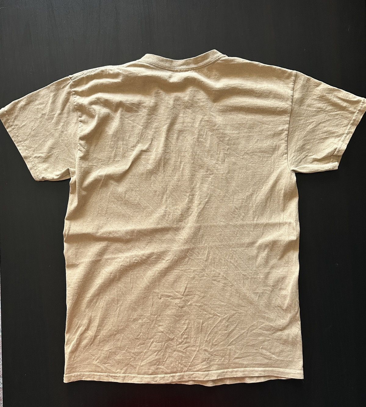 Thrasher Thrasher Magazine Graphic T-Shirt (Witch Print) Size US M / EU 48-50 / 2 - 4 Thumbnail
