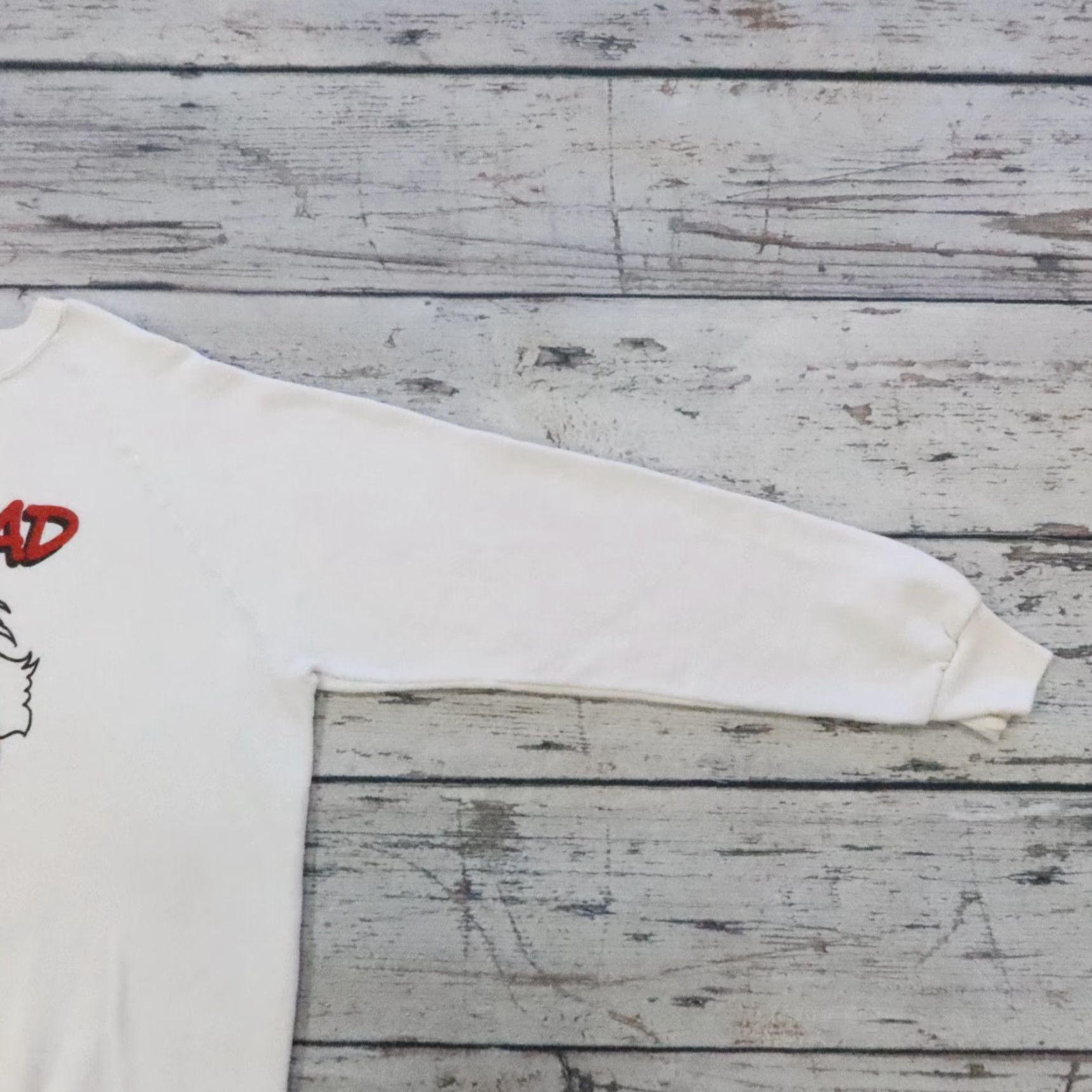 Vintage VINTAGE Albert Einstein Egghead Crewneck Sweatshirt Mens XL White 90s Meant for Men Size XL Pullover Sweatshirt 90s Theme, CATCH + RELEASE Sponsor Size US XL / EU 56 / 4 - 5 Thumbnail