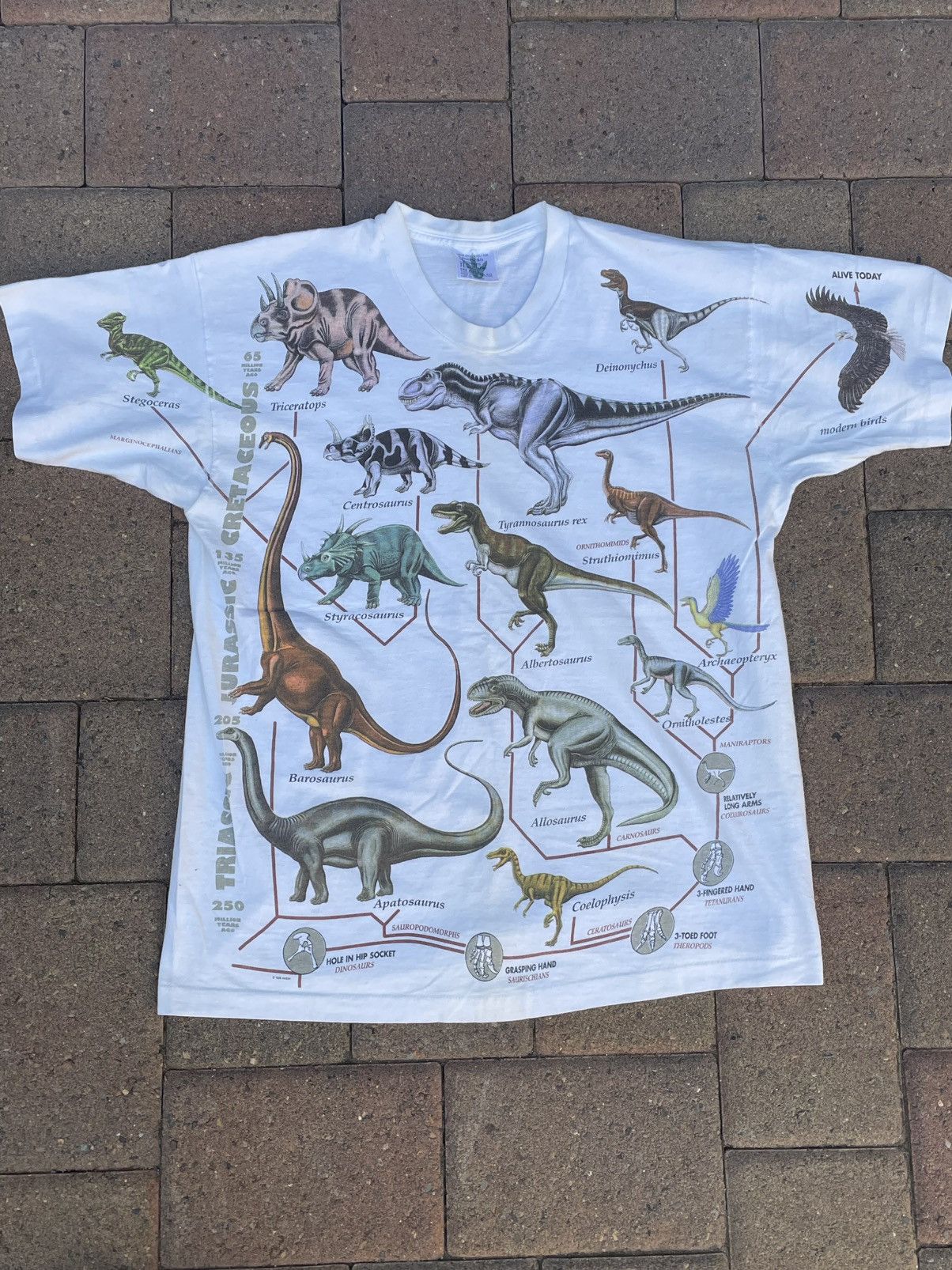 Other Vtg 90s American Museum of Natural History Dinosaur T-Shirt Size US L / EU 52-54 / 3 - 1 Thumbnail
