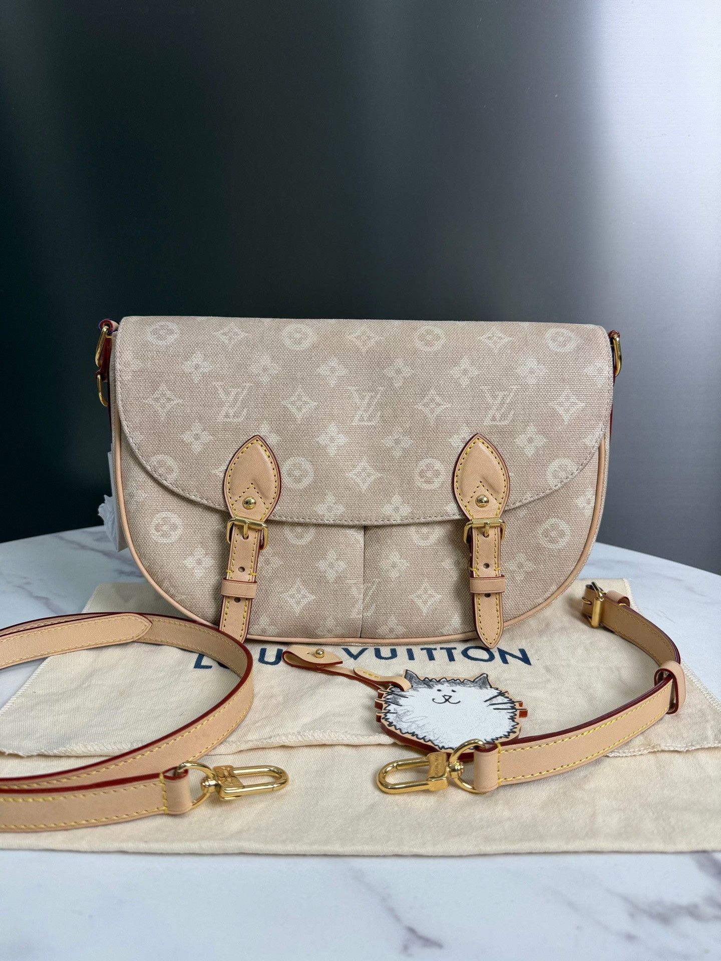 Louis Vuitton Pre-loved Bag Very good condition Size ONE SIZE - 1 Thumbnail