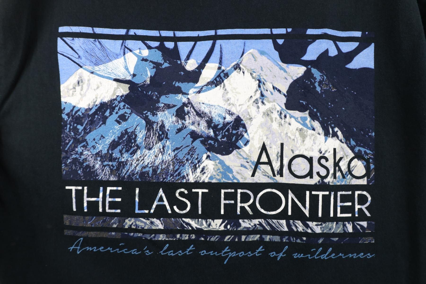 Vintage Vintage 90s Y2K Streetwear The Last Frontier Nature T-Shirt Size US L / EU 52-54 / 3 - 4 Thumbnail