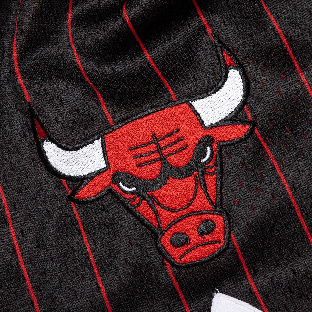 Just Don × Mitchell & Ness Chicago Bulls Just Don 10th Year Anniversary 1996 Shorts L Size US 34 / EU 50 - 8 Thumbnail