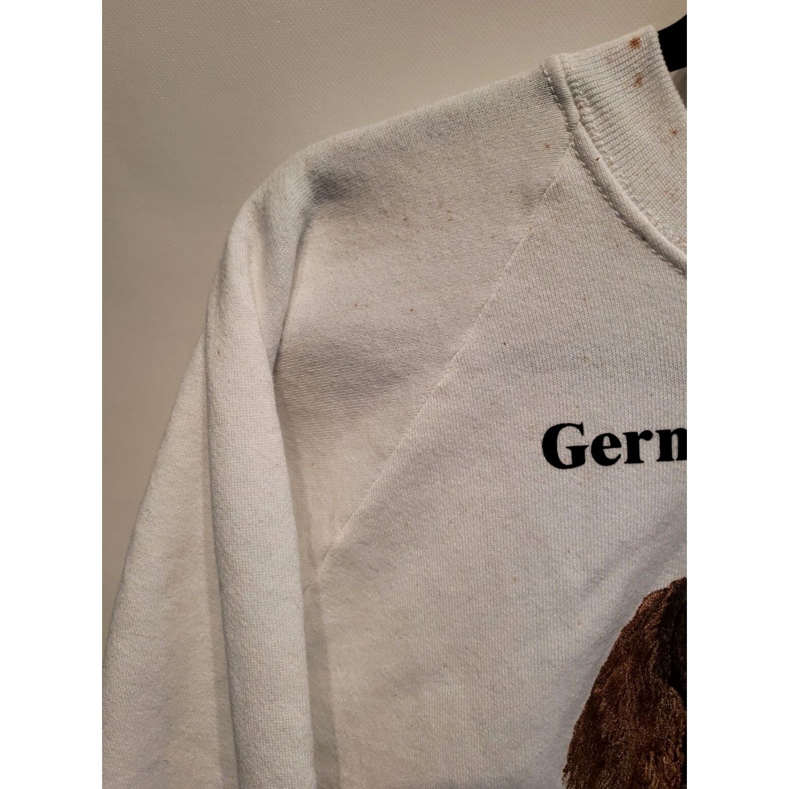 Fruit Of The Loom Vtg German Wirehair Pointer Puppy Dog Raglan Crewneck Sweatshirt Mens XXL Teal Crew Neck Pullover Dog Print Vintage Modern Shirt Featured 90s Size US XXL / EU 58 / 5 - 6 Thumbnail
