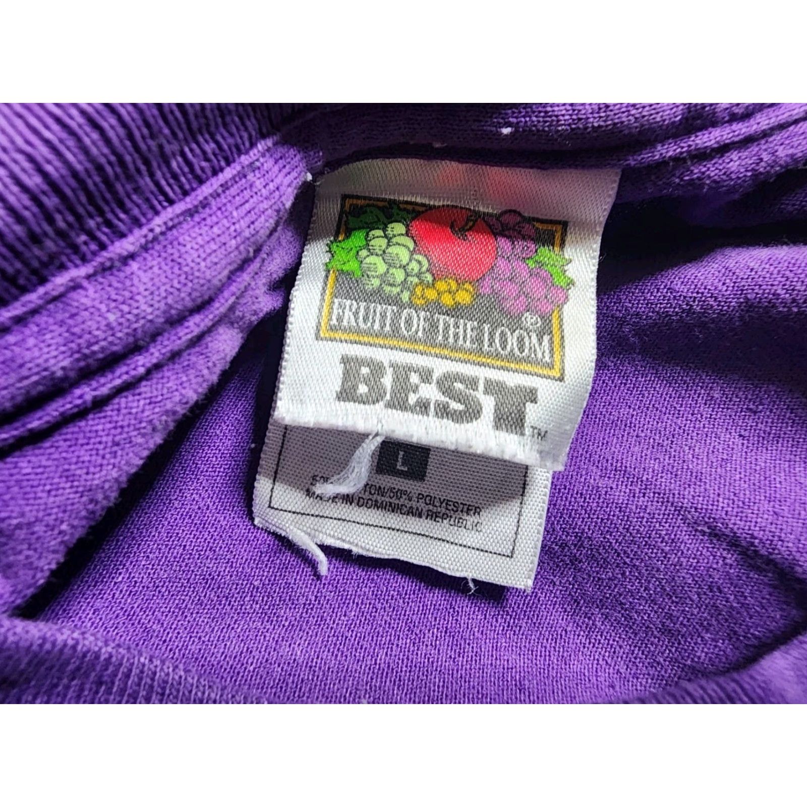 Fruit Of The Loom VINTAGE 90s Fruit of the Loom T-Shirt Mens L Purple Cactus Hummingbird Flowers Graphic Print Short Sleeve Crew Neck 90s Nature Retro Boys Mens Size US L / EU 52-54 / 3 - 6 Thumbnail