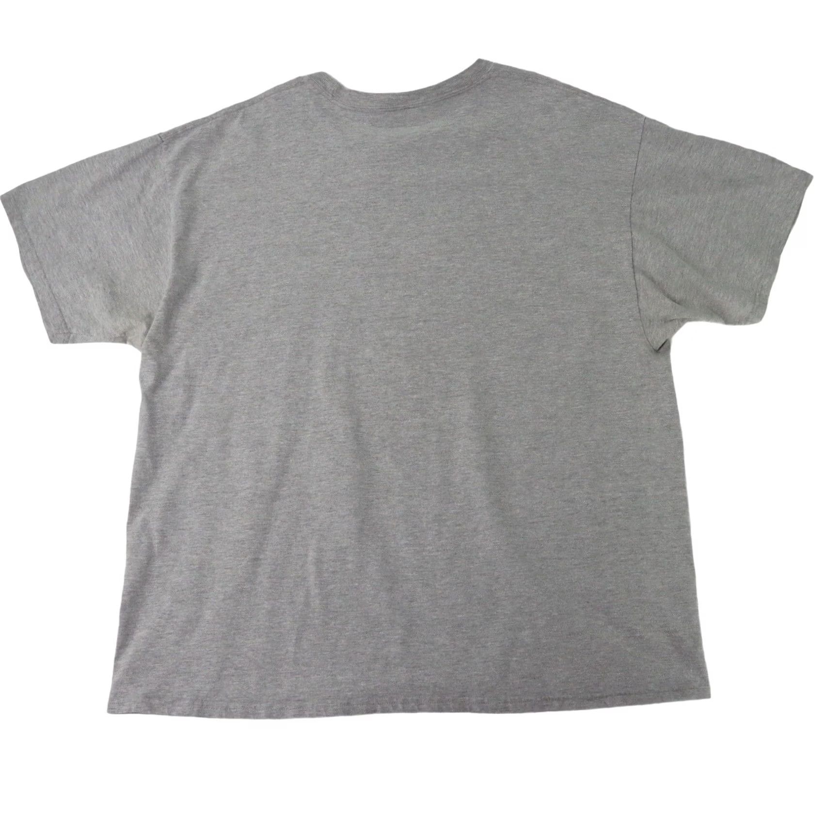 Disney DISNEY PARKS T-Shirt 2XL I RODE SPLASH MOUNTAIN AND ALL I GOT WAS SOAKED Vtg Mens Gray Size US XXL / EU 58 / 5 - 7 Thumbnail