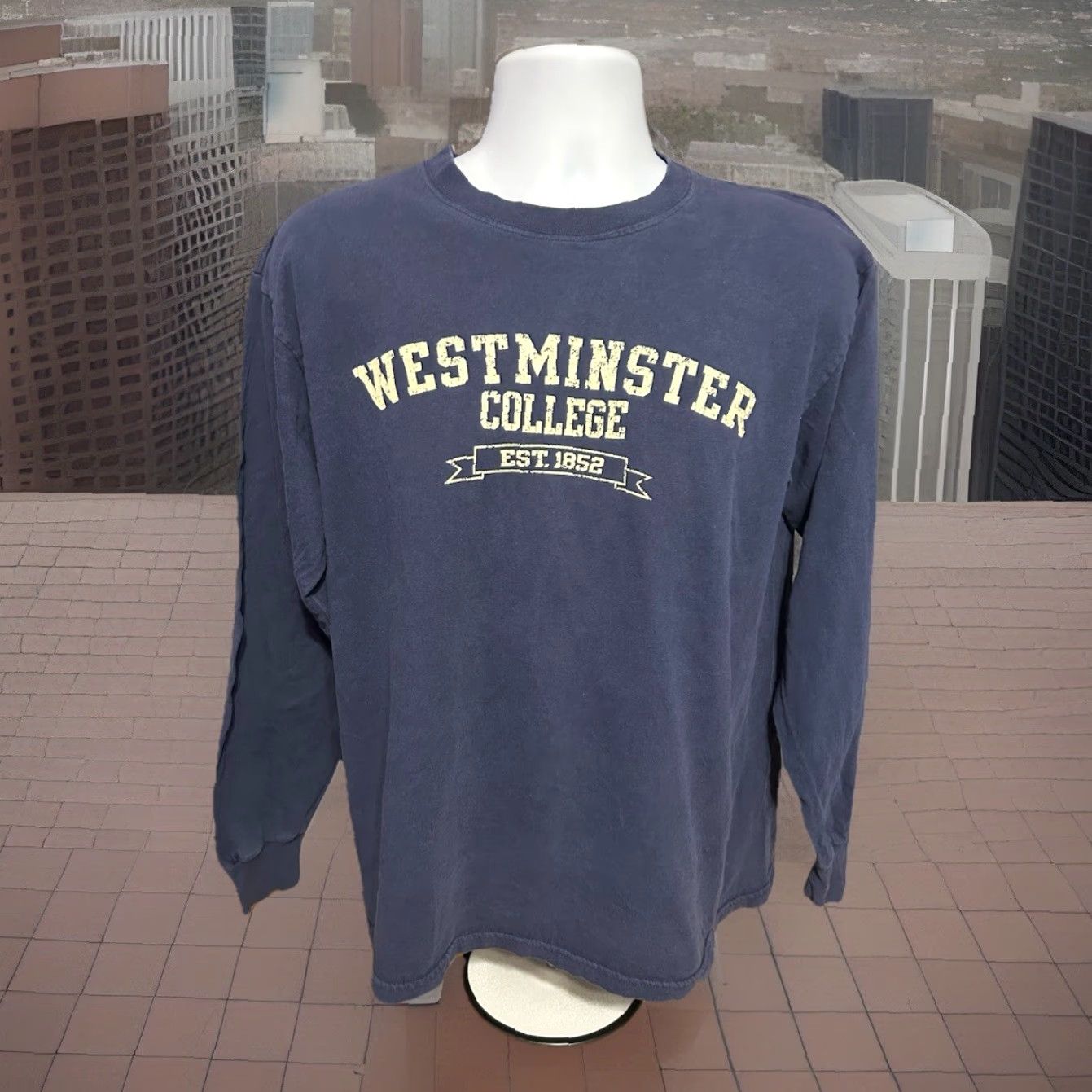 Soffe Westminster College Long Sleeve Shirt Women L Navy Blue Crew Neck Lightweight Cotton MJ Soffe Solid Club College Theme Mens Womens? Size L / US 10 / IT 46 - 6 Thumbnail